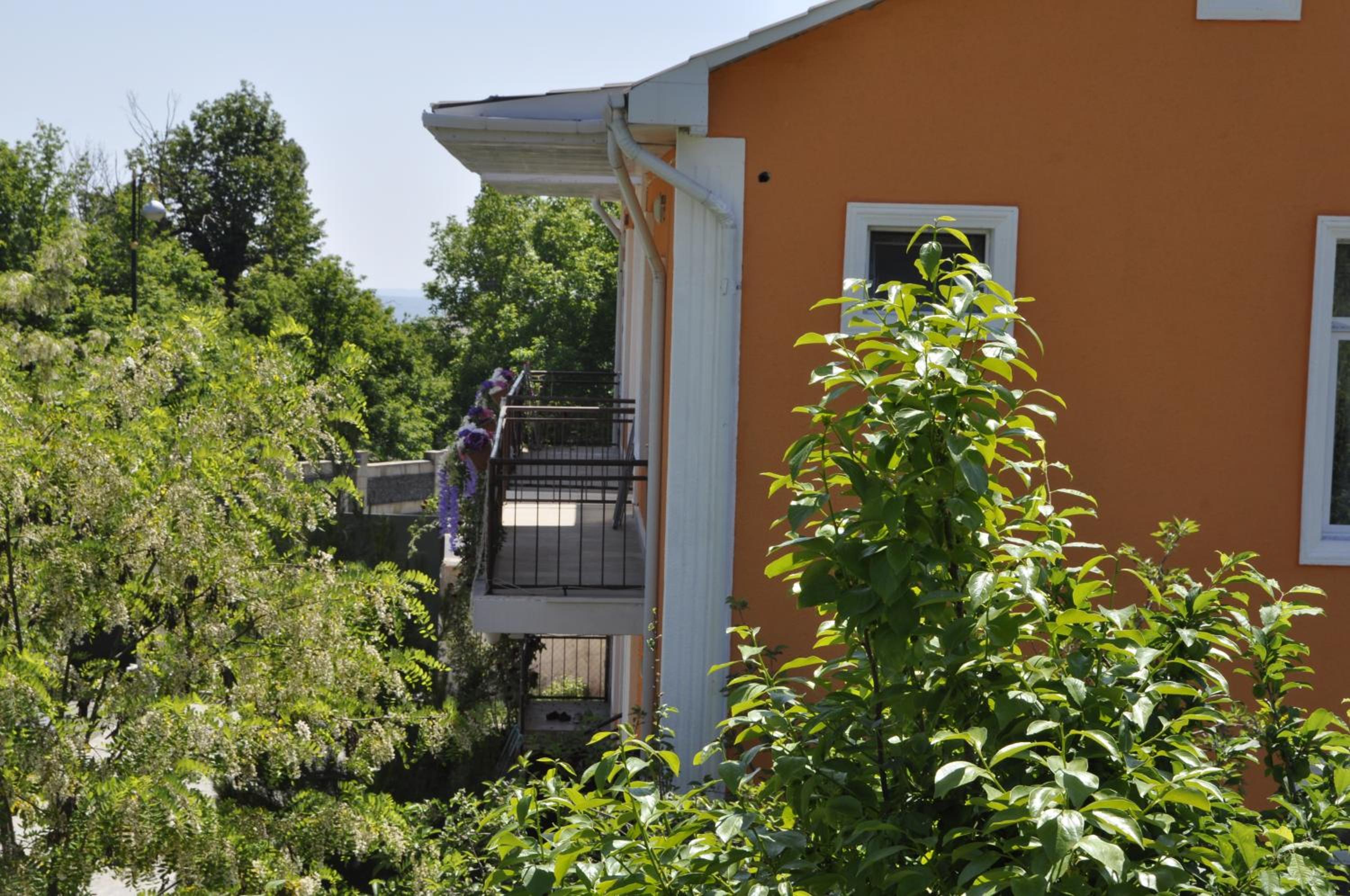 Apartments Firuze