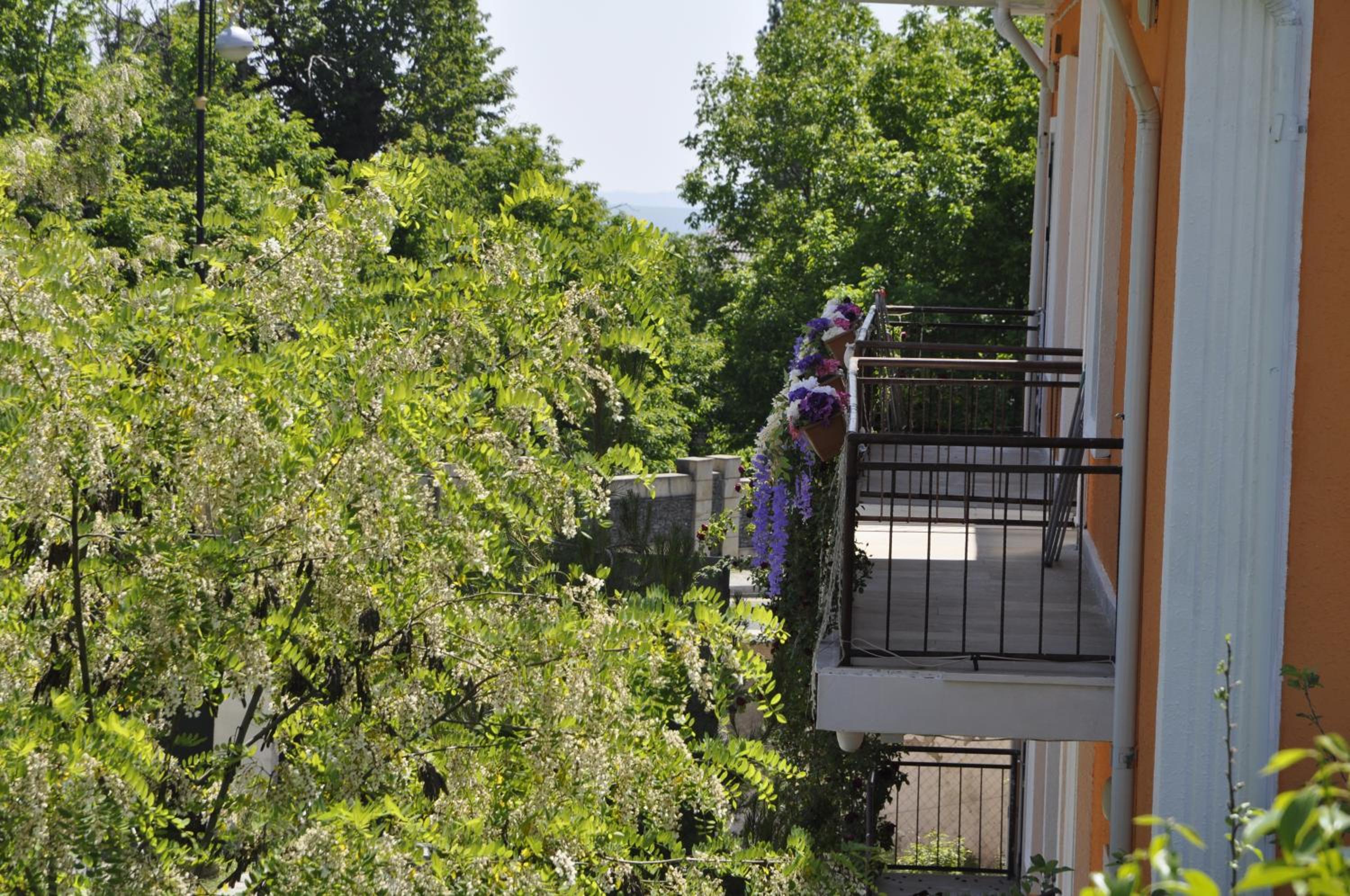 Apartments Firuze