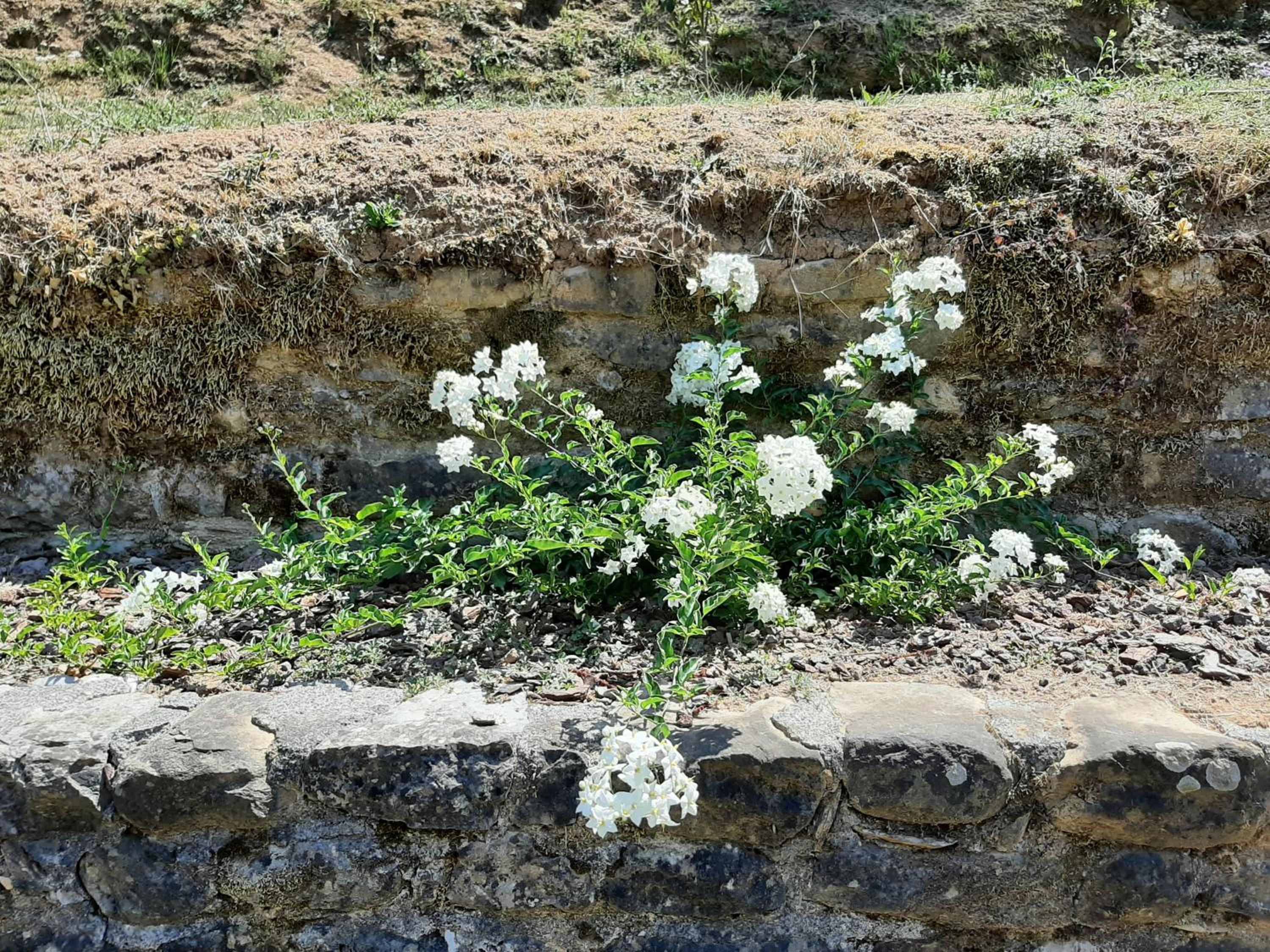 Photo 34