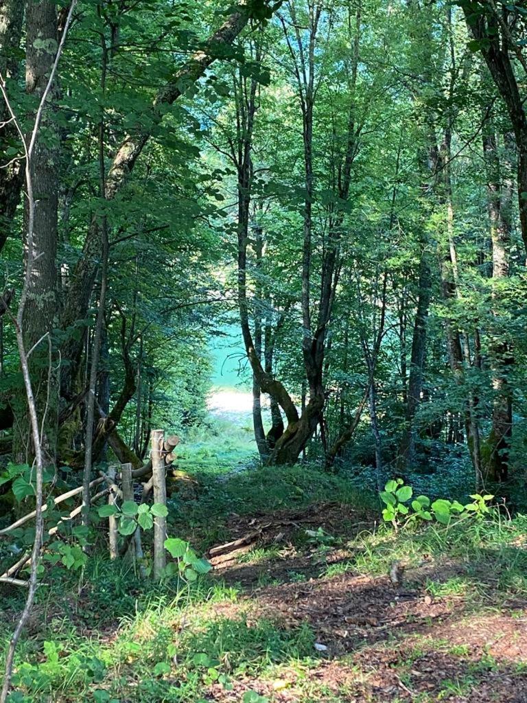 Photo 42