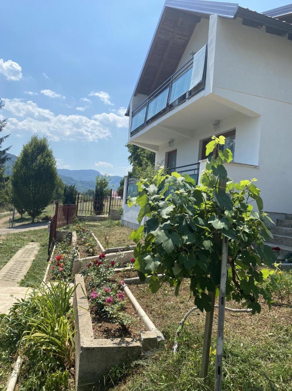 Villa Rose