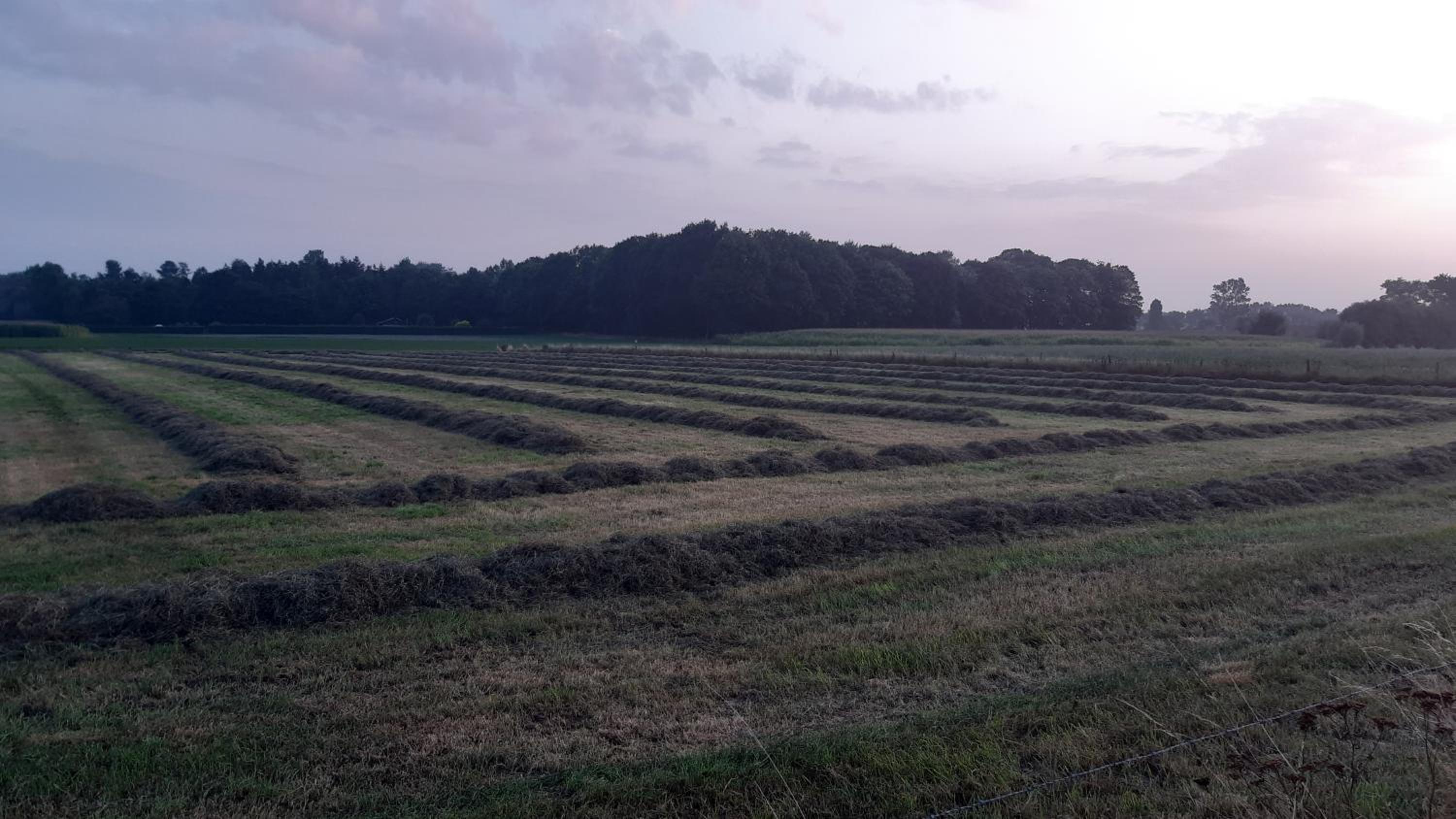 Zee-van-Tijd