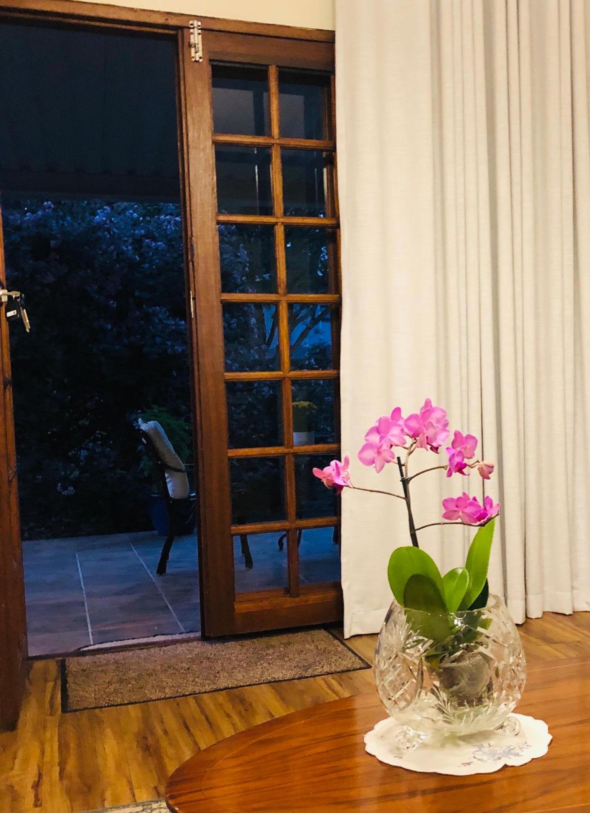 Rondeletia Cottage Guesthouse - premium self catering view 5