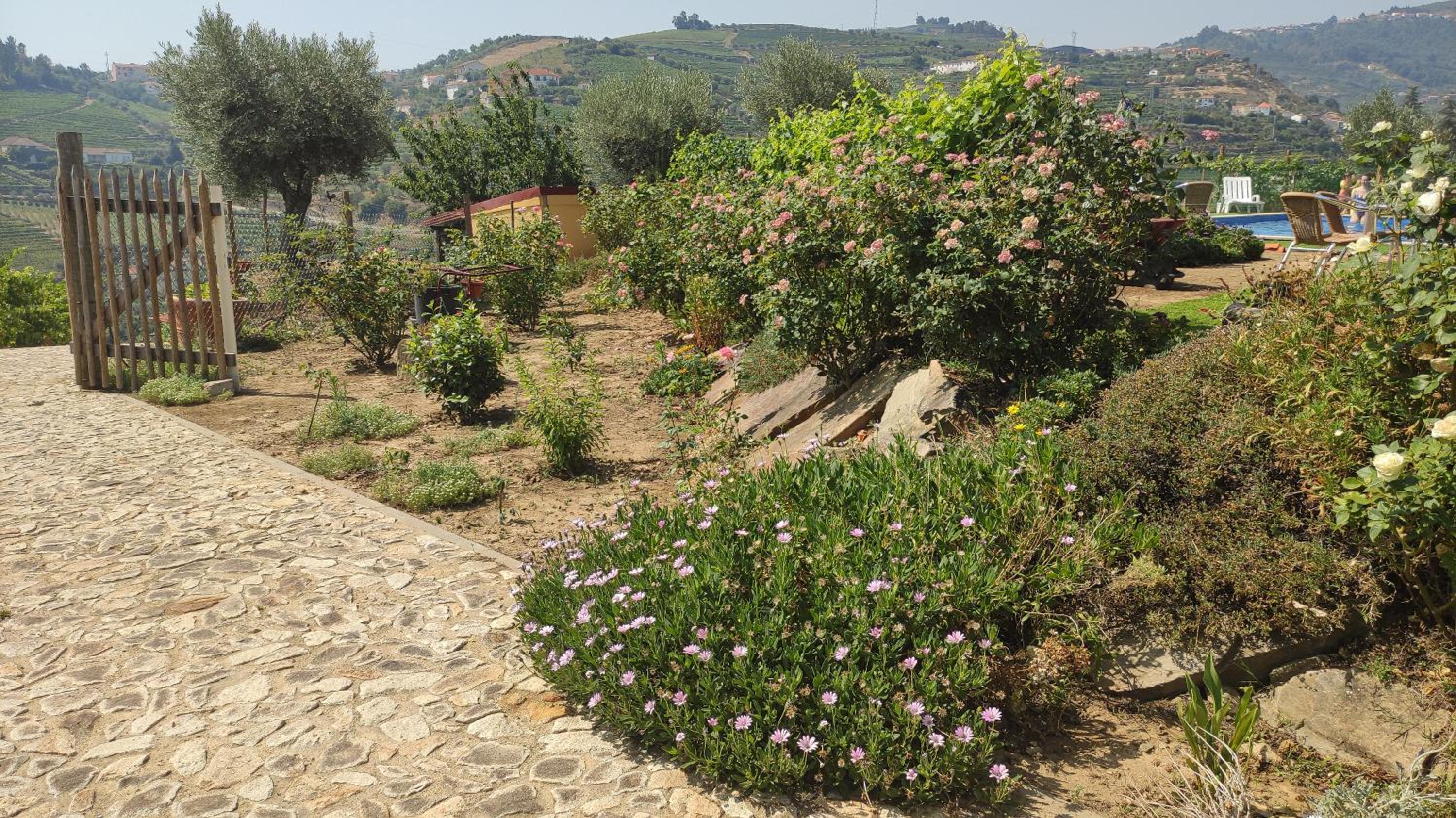 Photo 48