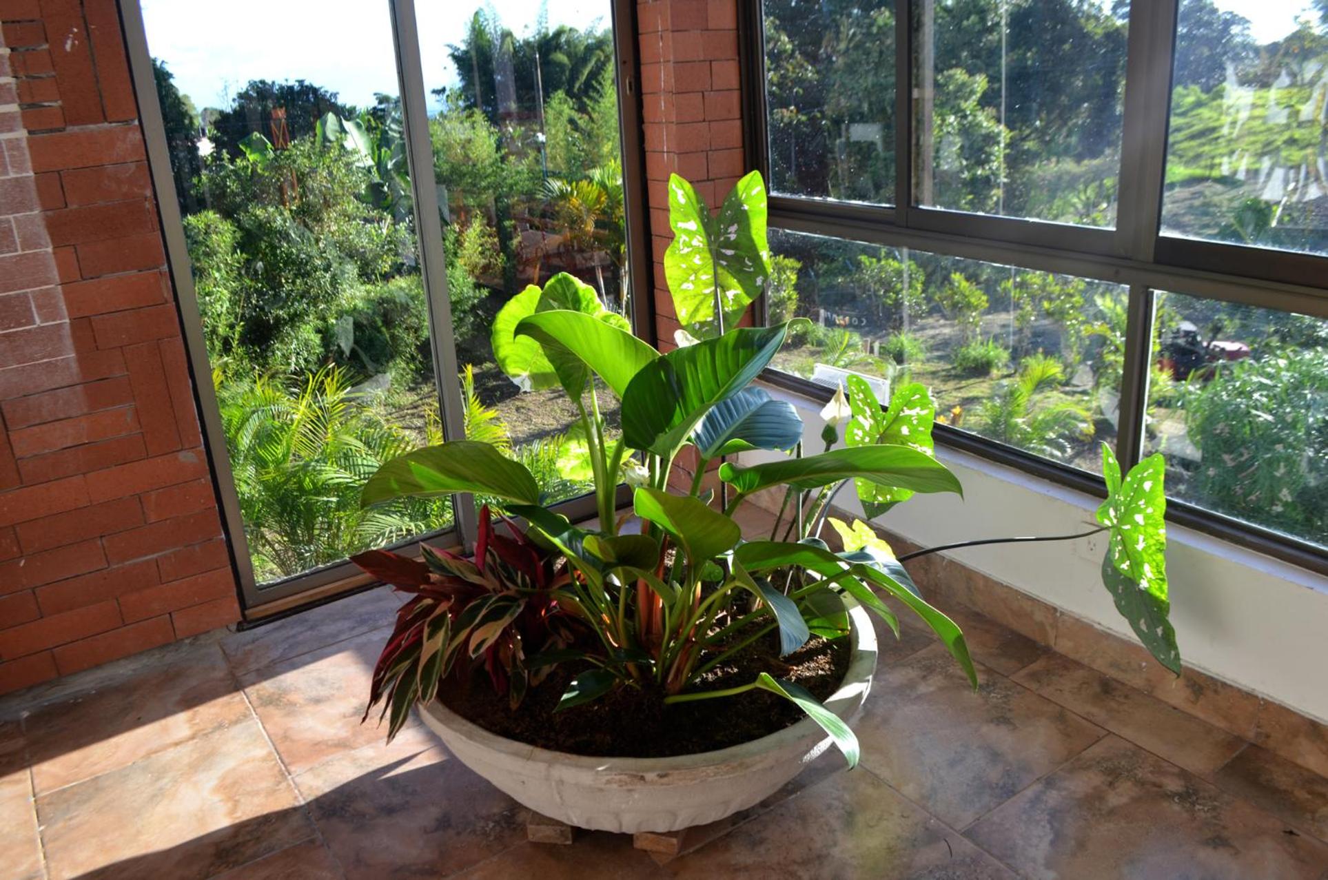 Aromarte Finca Hotel
