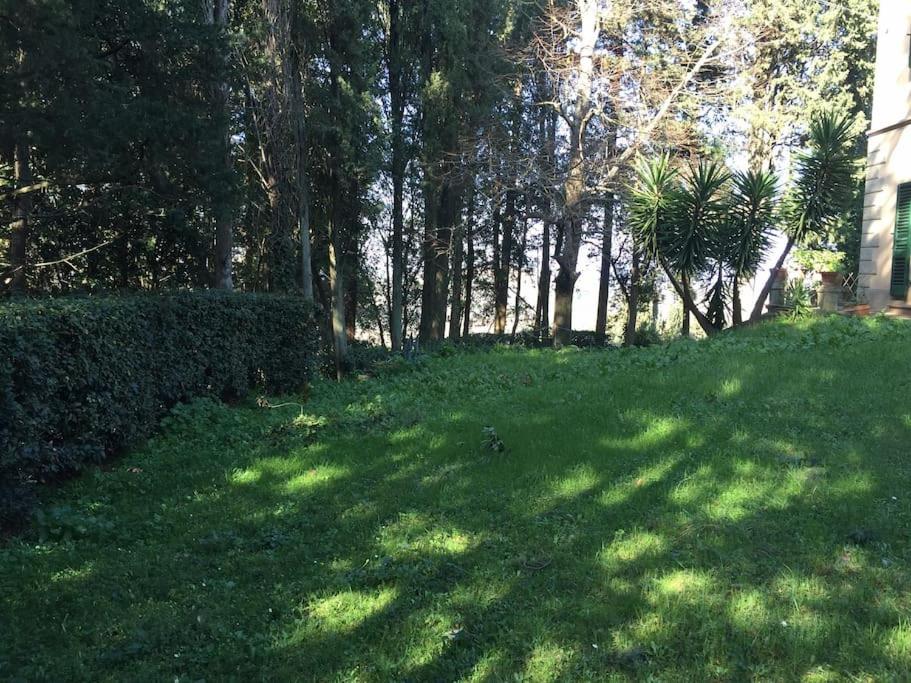VILLA GIOIA - CHARMING VILLA TUSCANY COUNTRY IN TERRICCIOLA WiFi