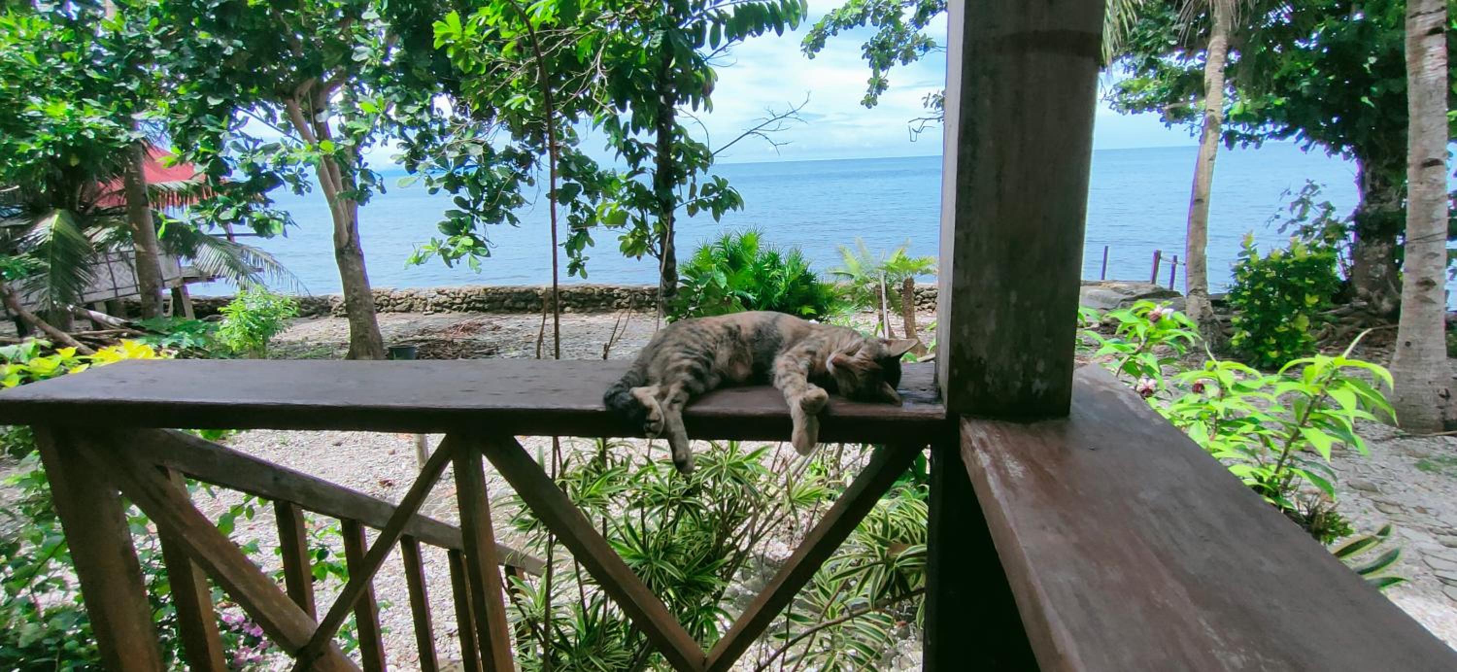 Photo 23
