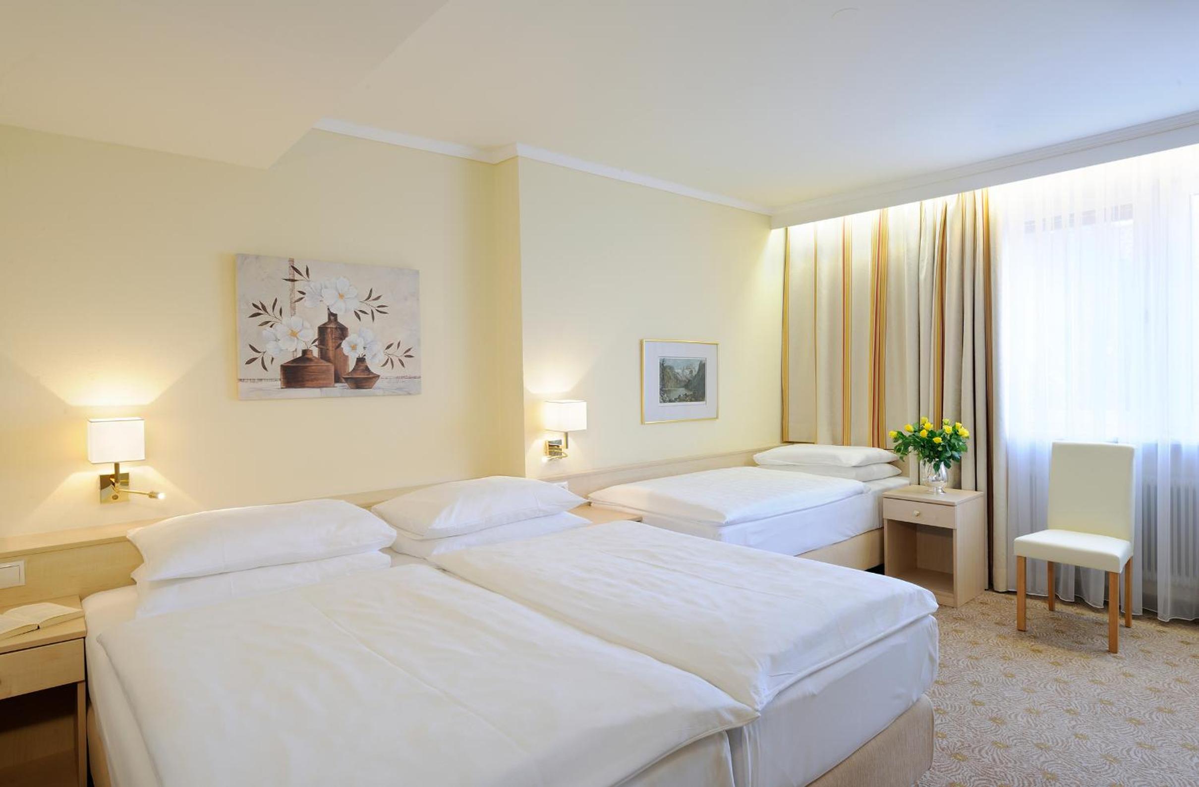 Salzburg Vacations - Hotel Scherer - Property Image 65