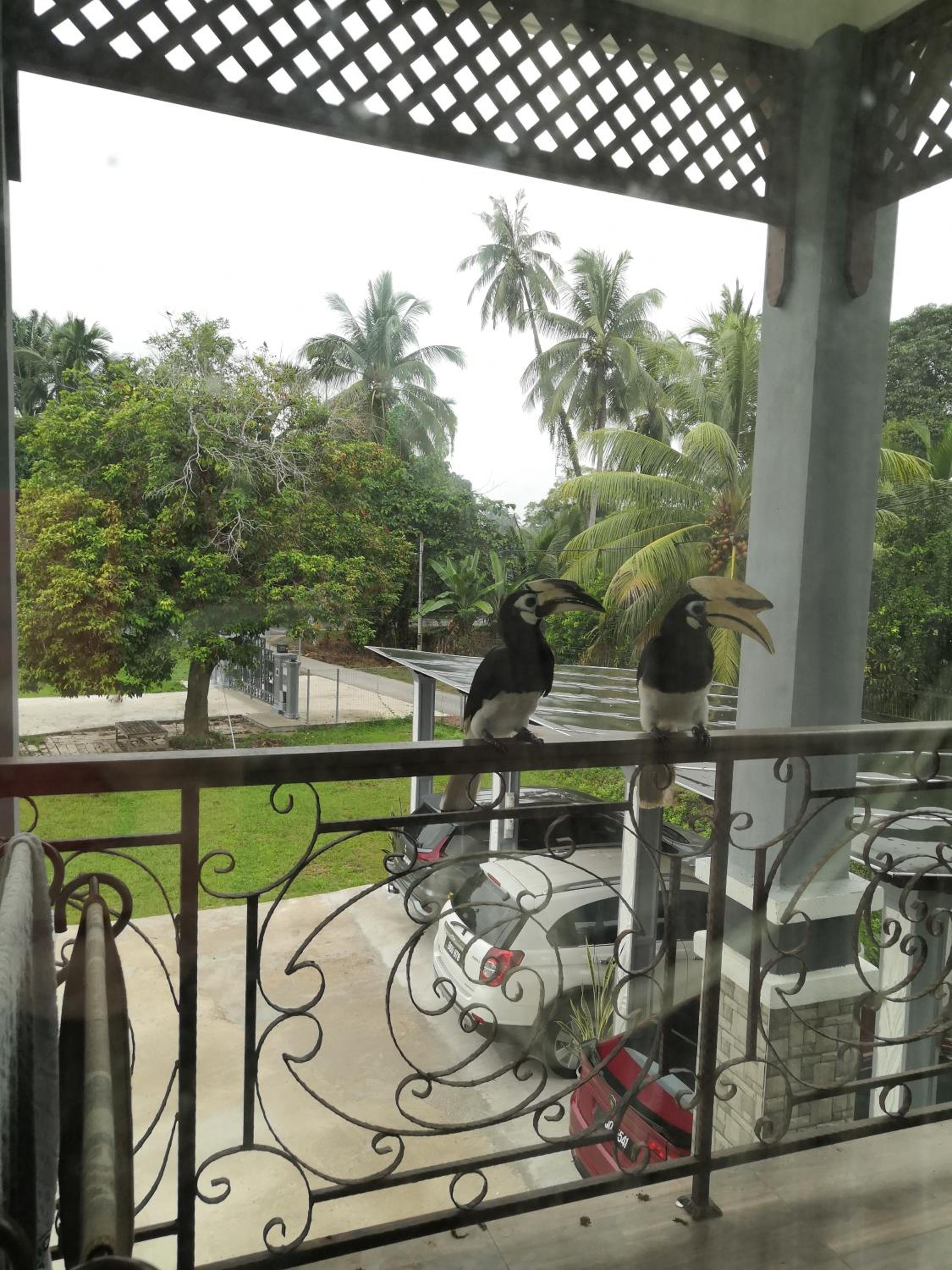 Darney's Homestay Kg Bangau Tanjung photo 7