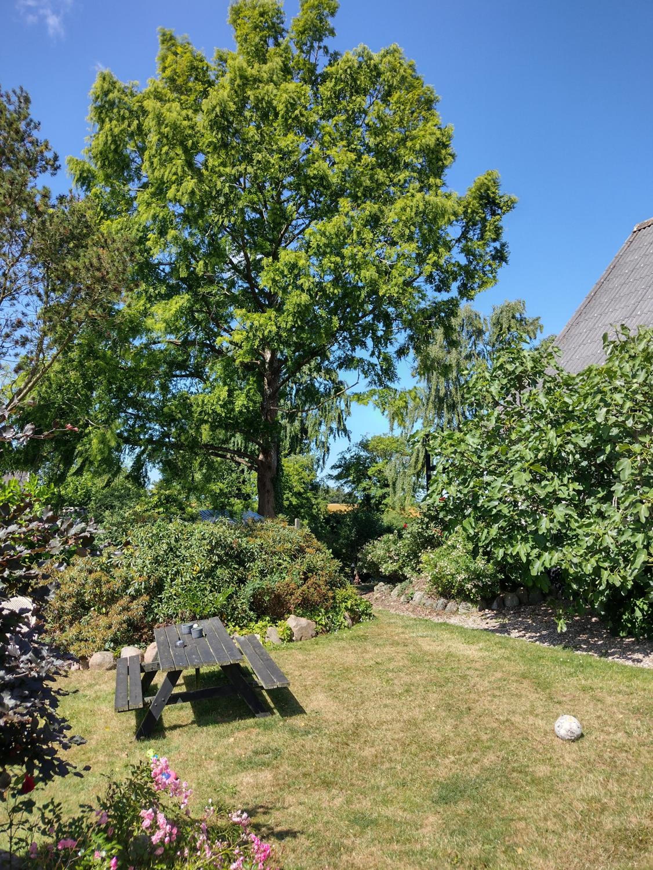 Den Gamle Apotekergaard