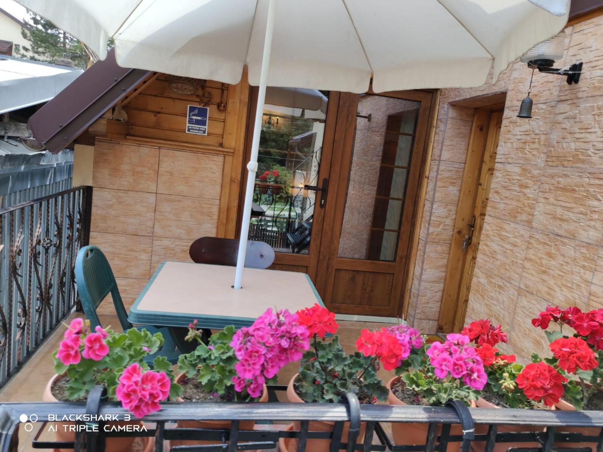 Garsoniera Mikha en Sinaia