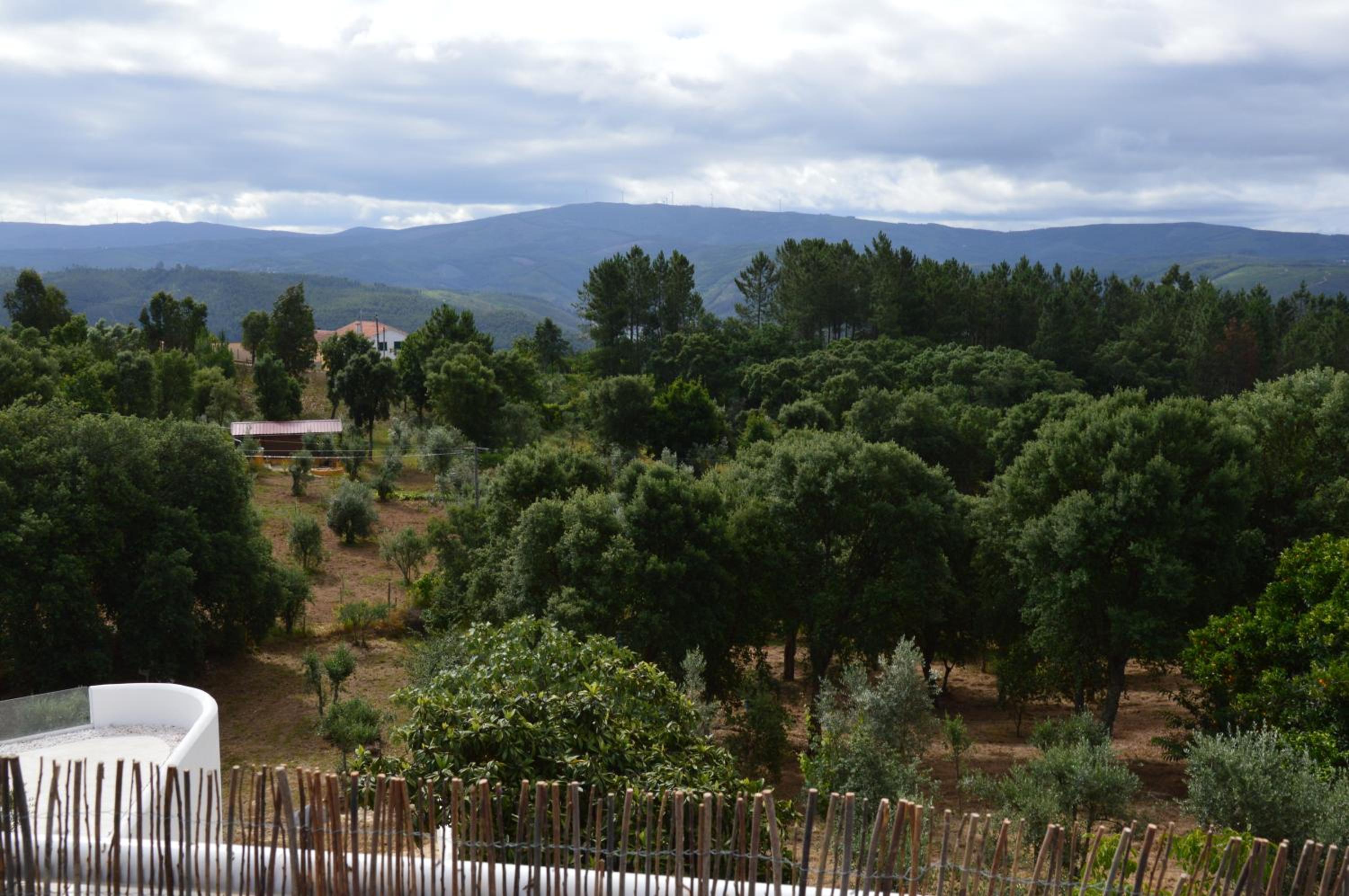 Ouzenda do Zêzere