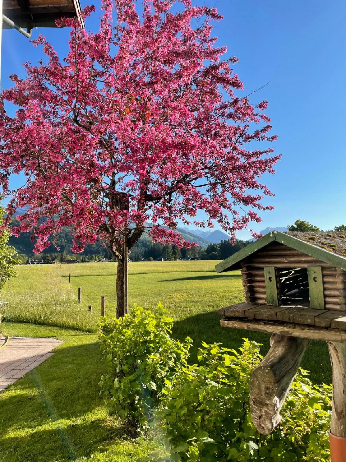 Haus Katharina view 4