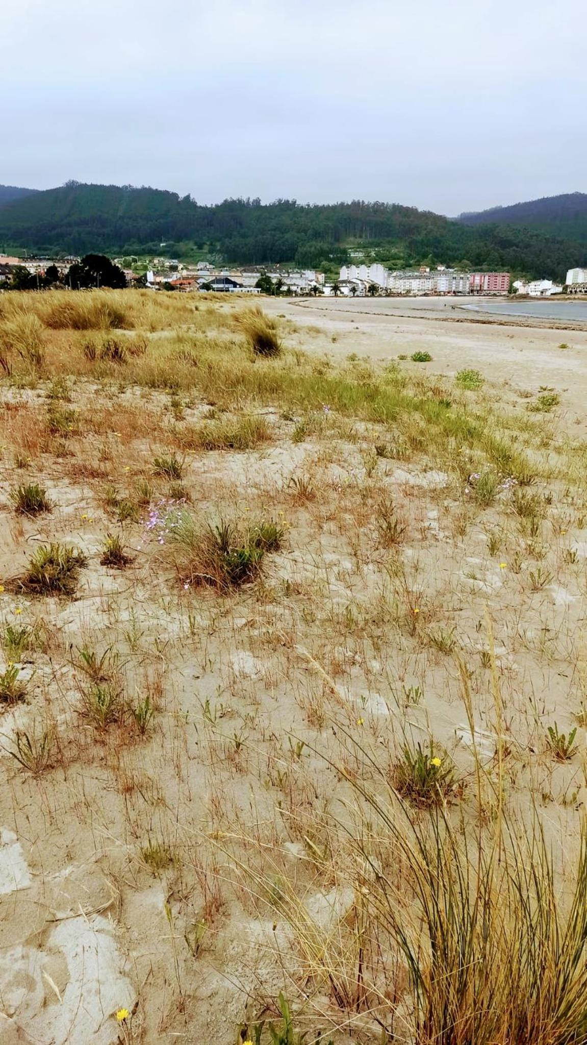 Piso luminoso y acogedor en primera línea de playa Covas Viveiro