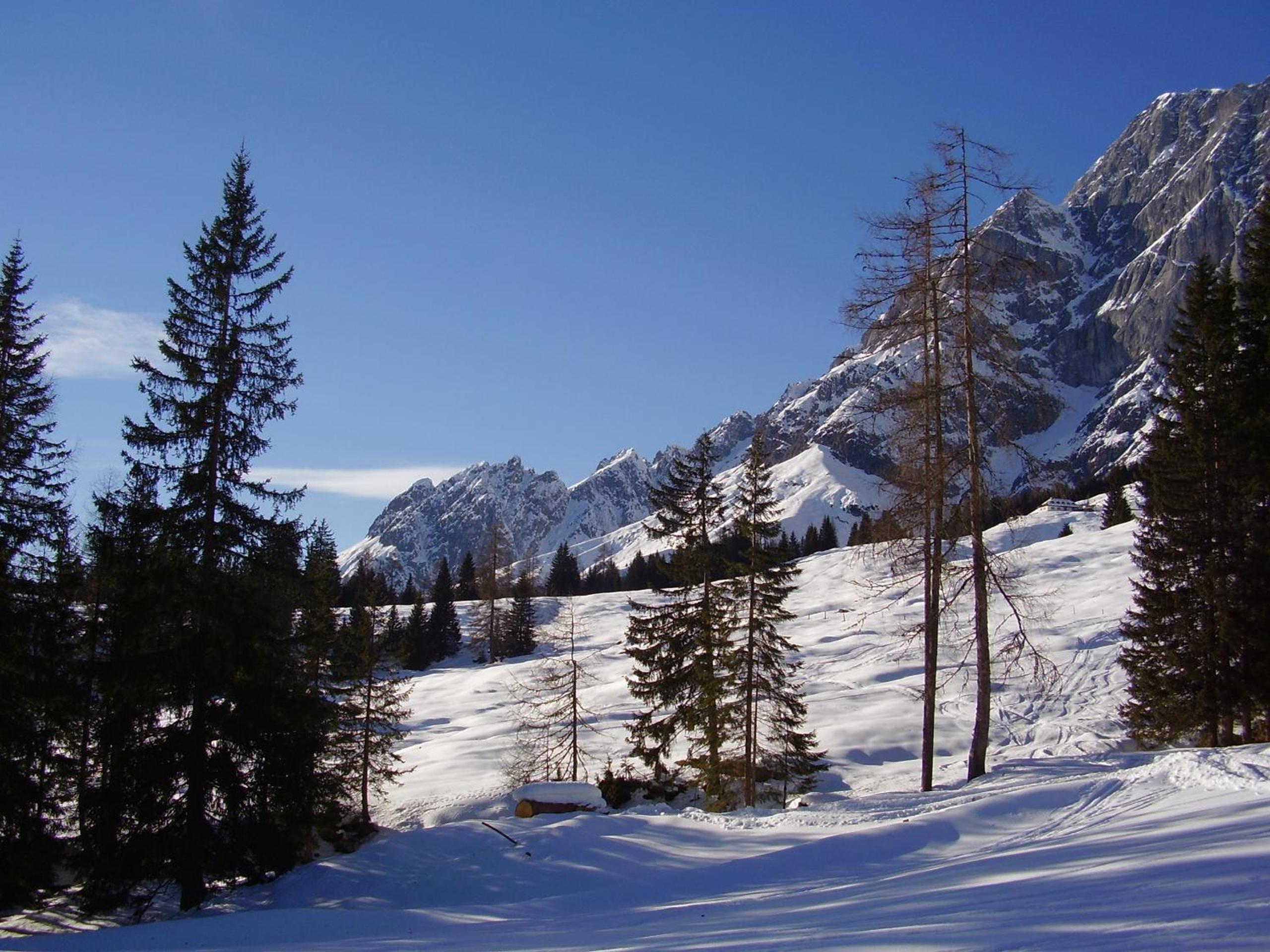 Appartementhaus Hochkönig 1 - Alpenrose