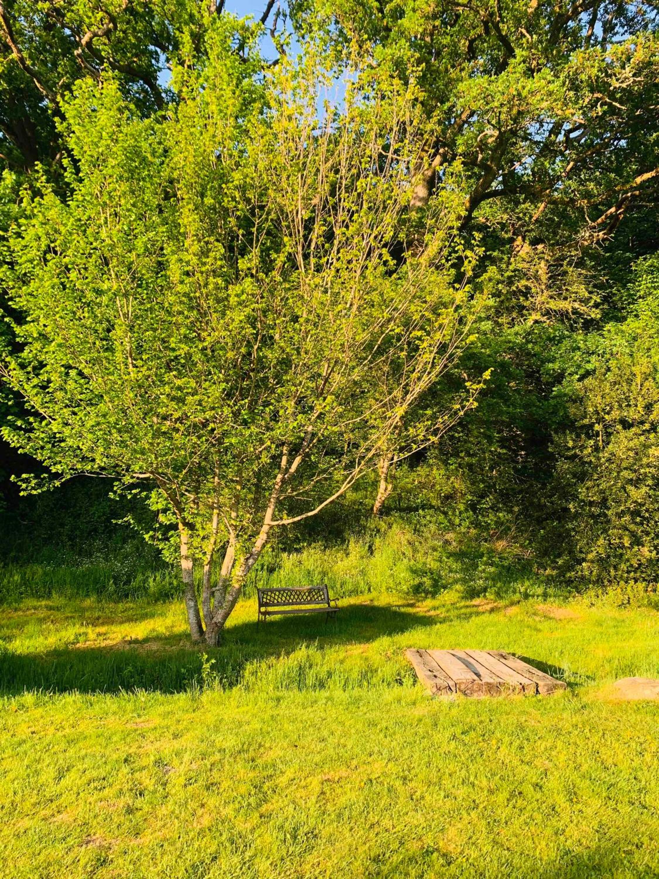 Lovely Meadow House in the land of Croix Scaille