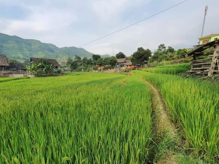 Organic Farm Homestay view 3