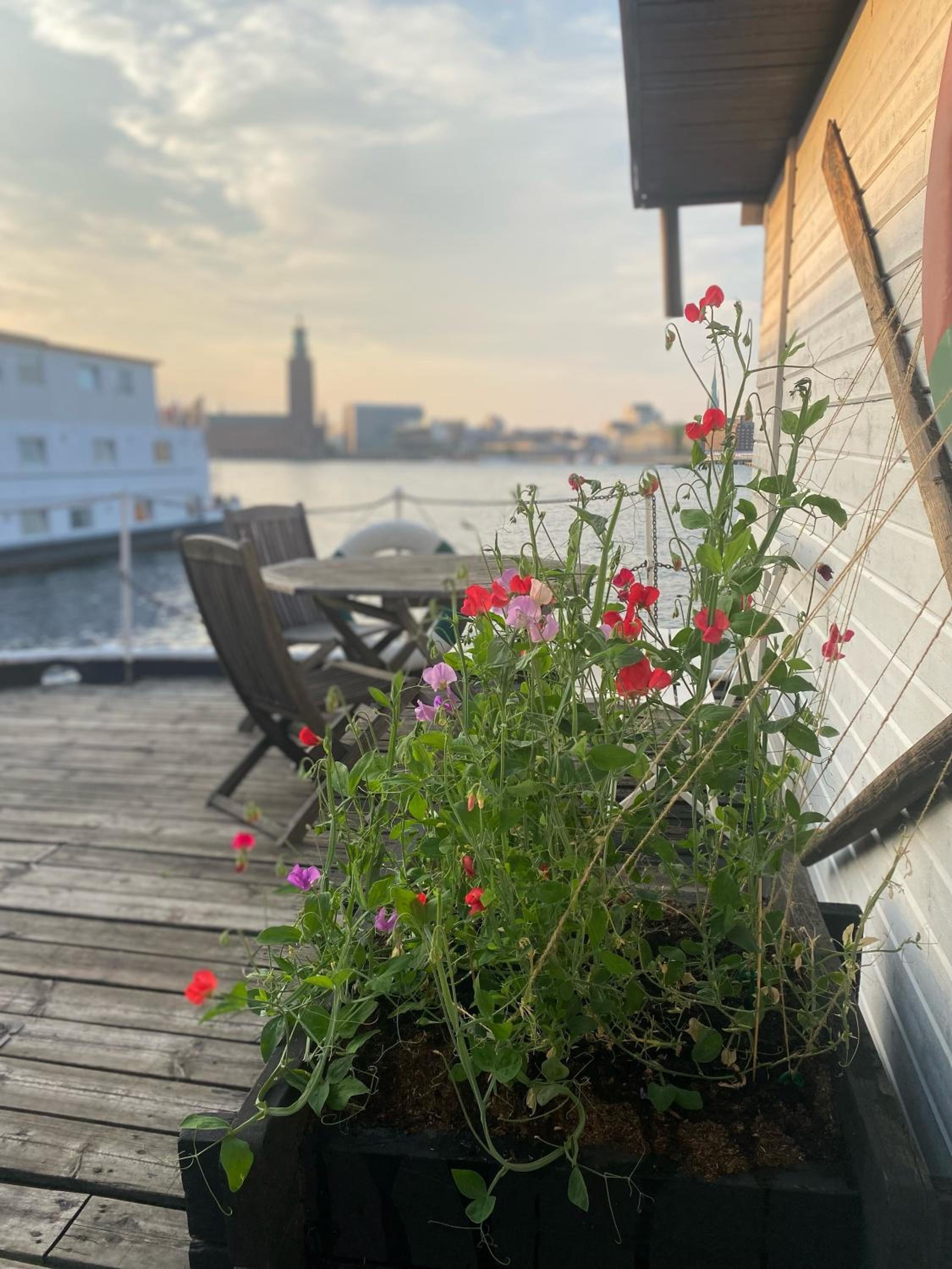The Red Boat 46