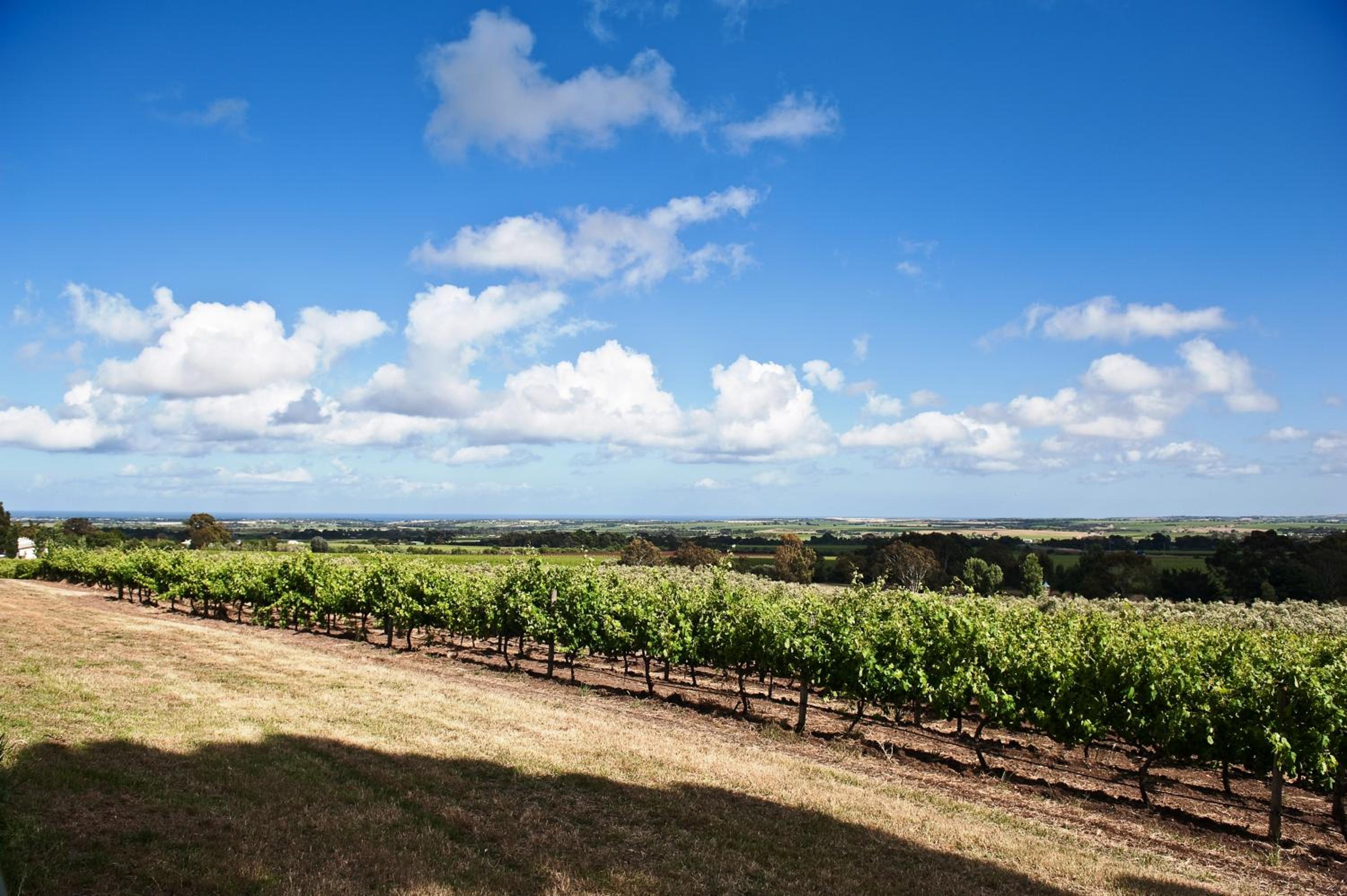 The Farm Willunga