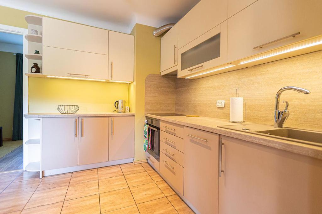 Schneider hause view 4