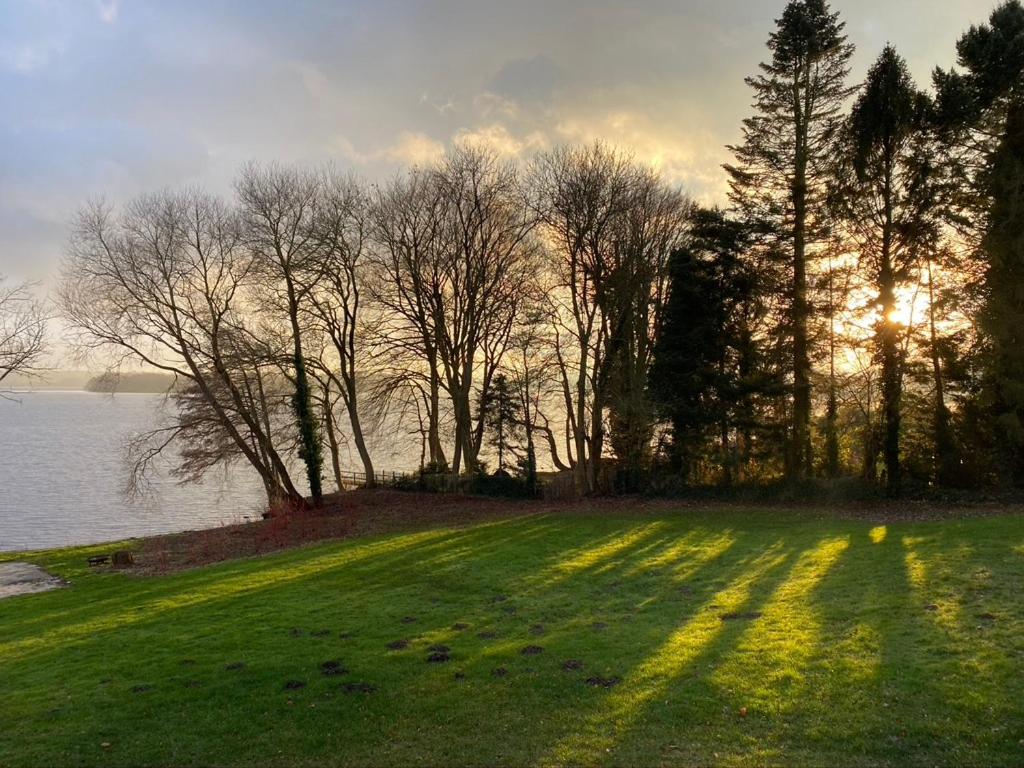 Design-Suite am See