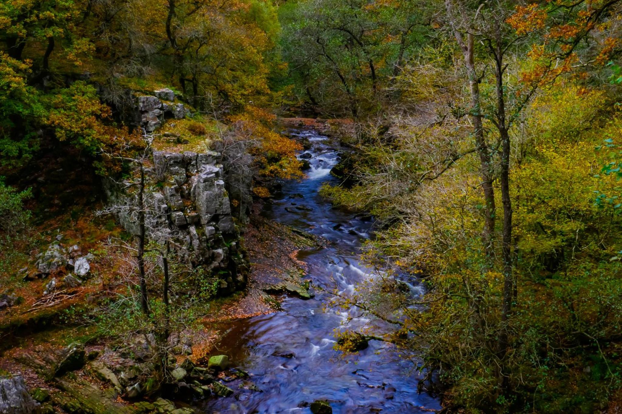 Waterfall Lodge