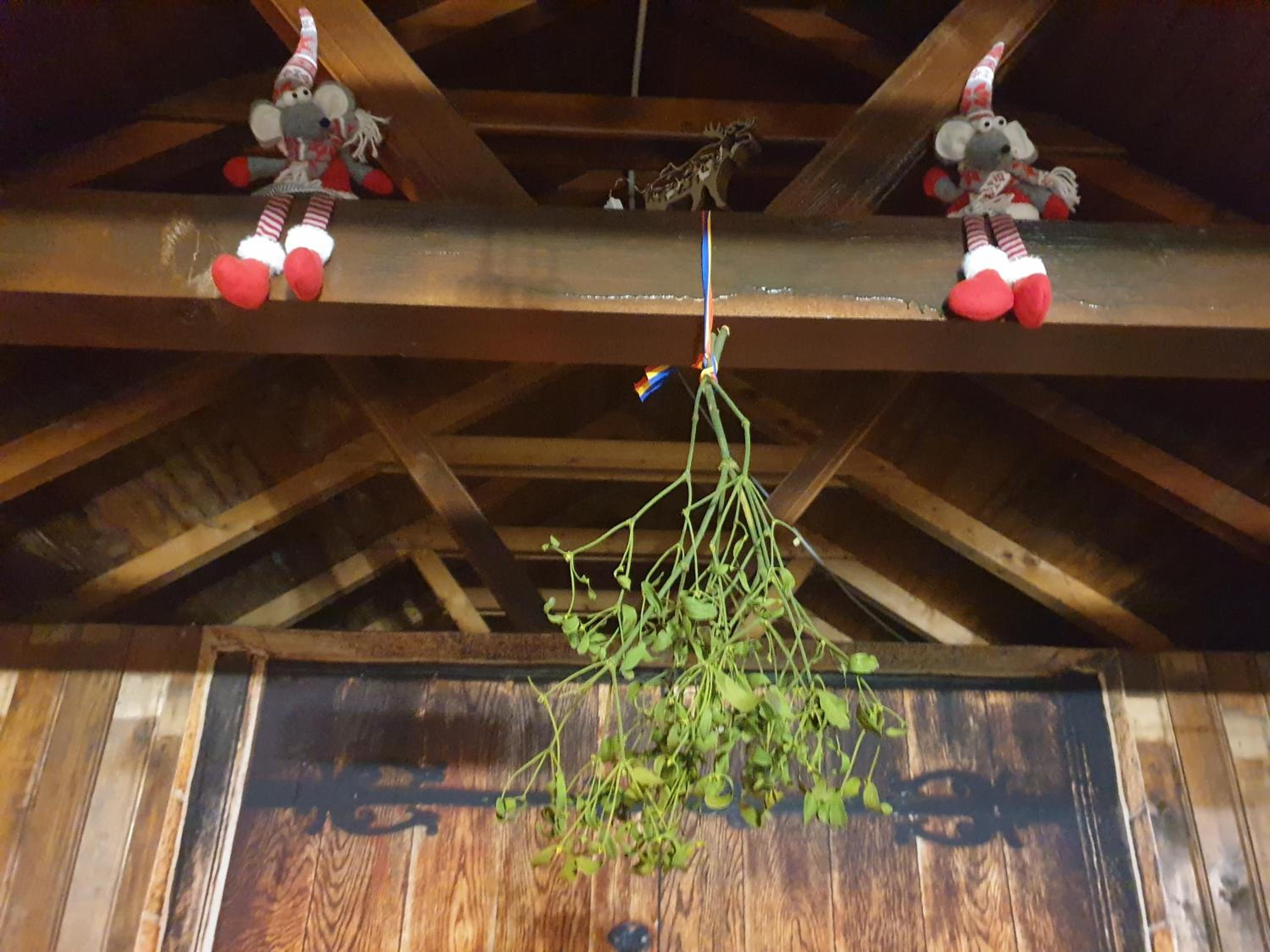 Photo 38