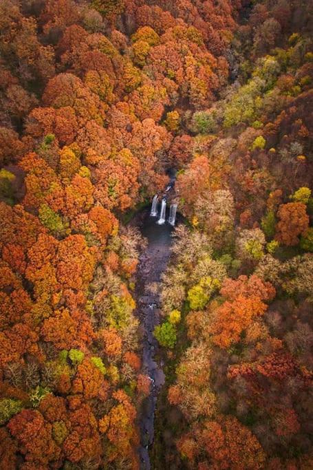 Waterfall Lodge