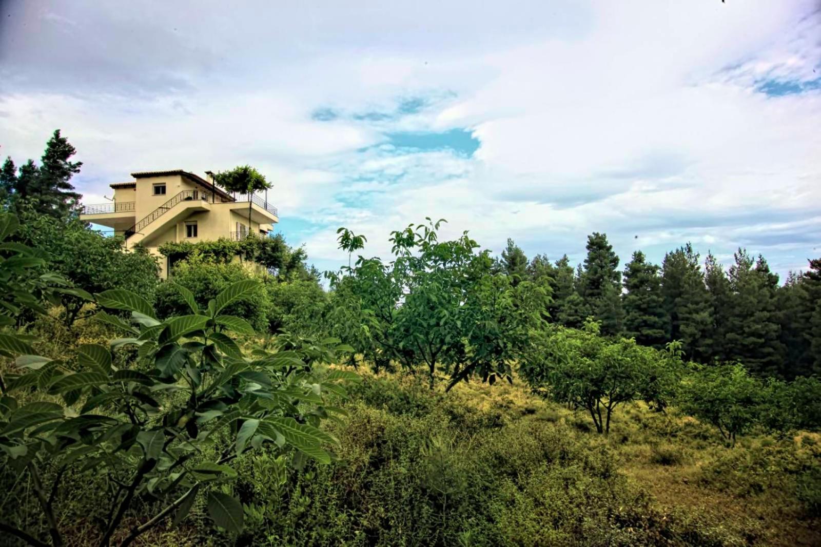 Dream House Capturing the Magic of Nature view 5