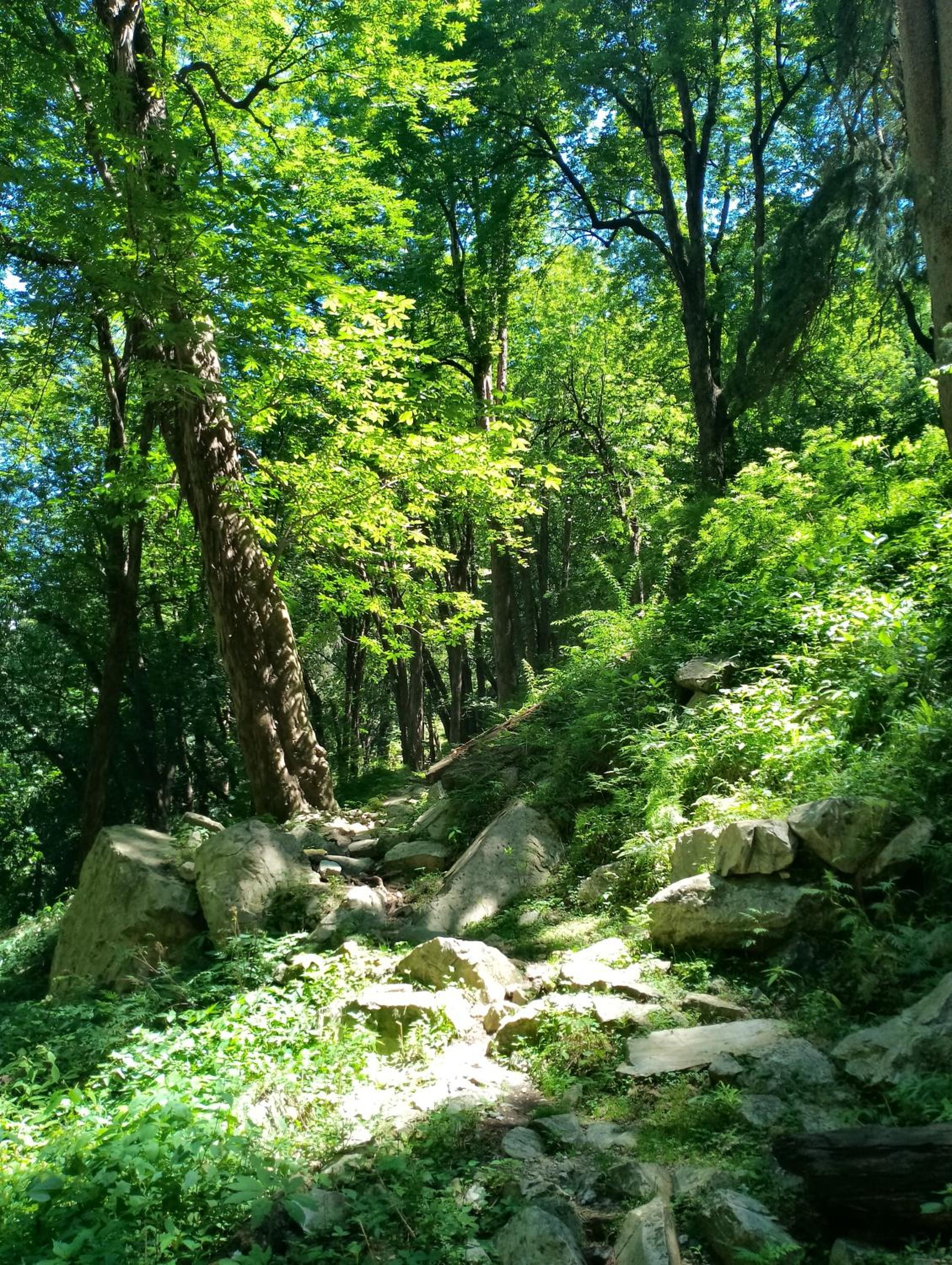 Photo 40