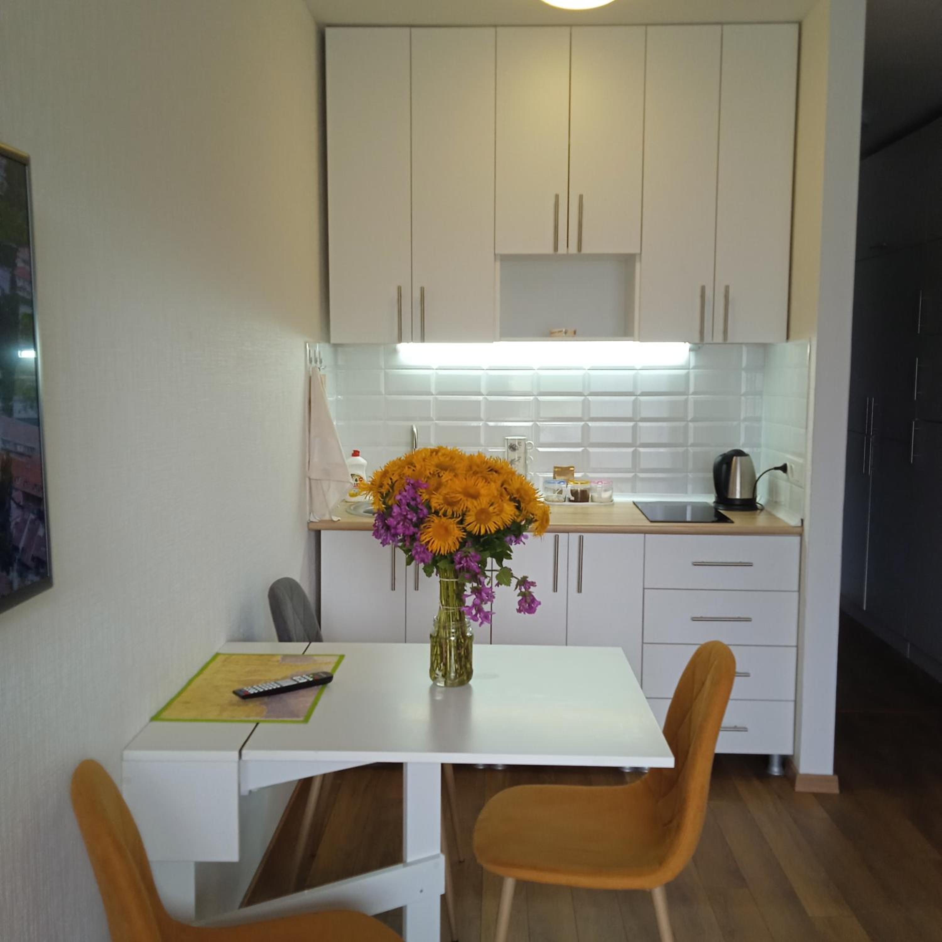 Roshka Apartment 307 view 2
