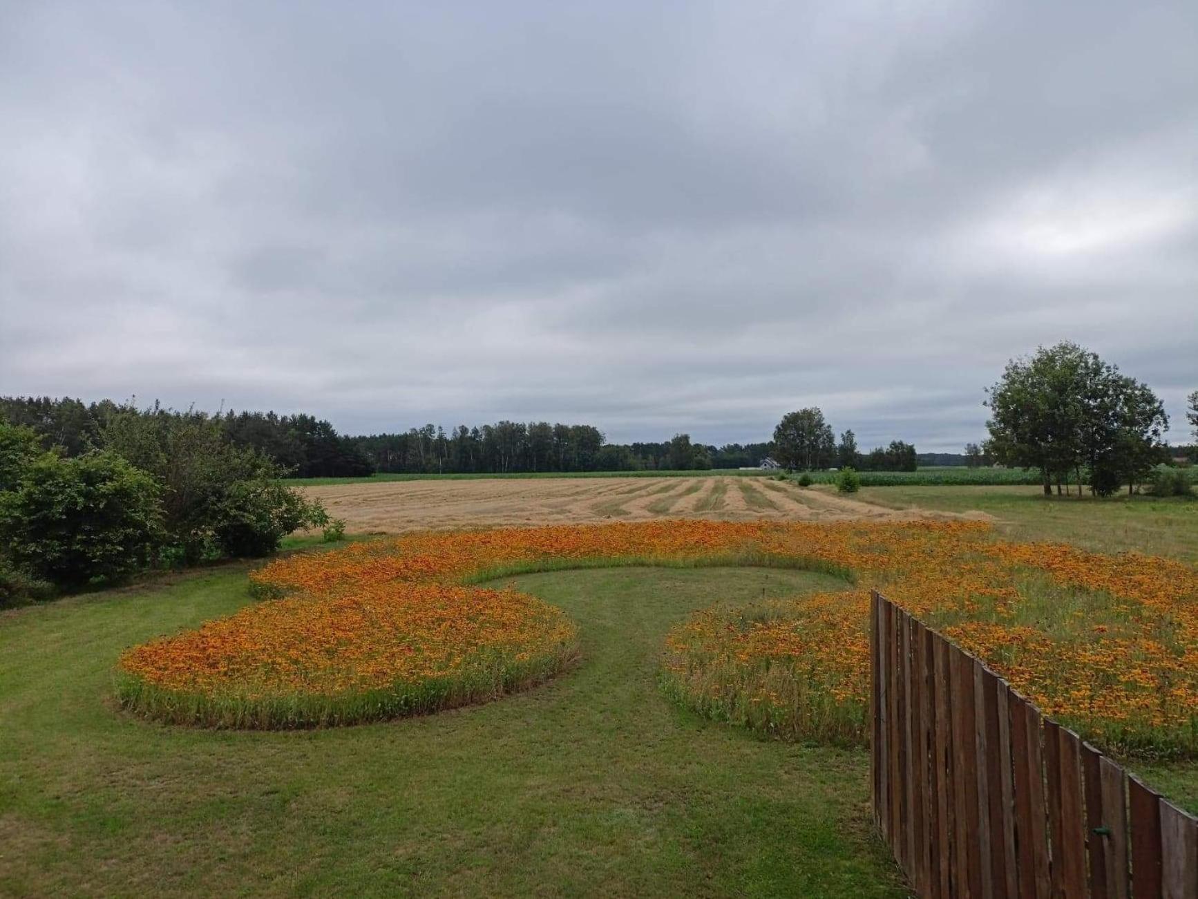 Photo 44