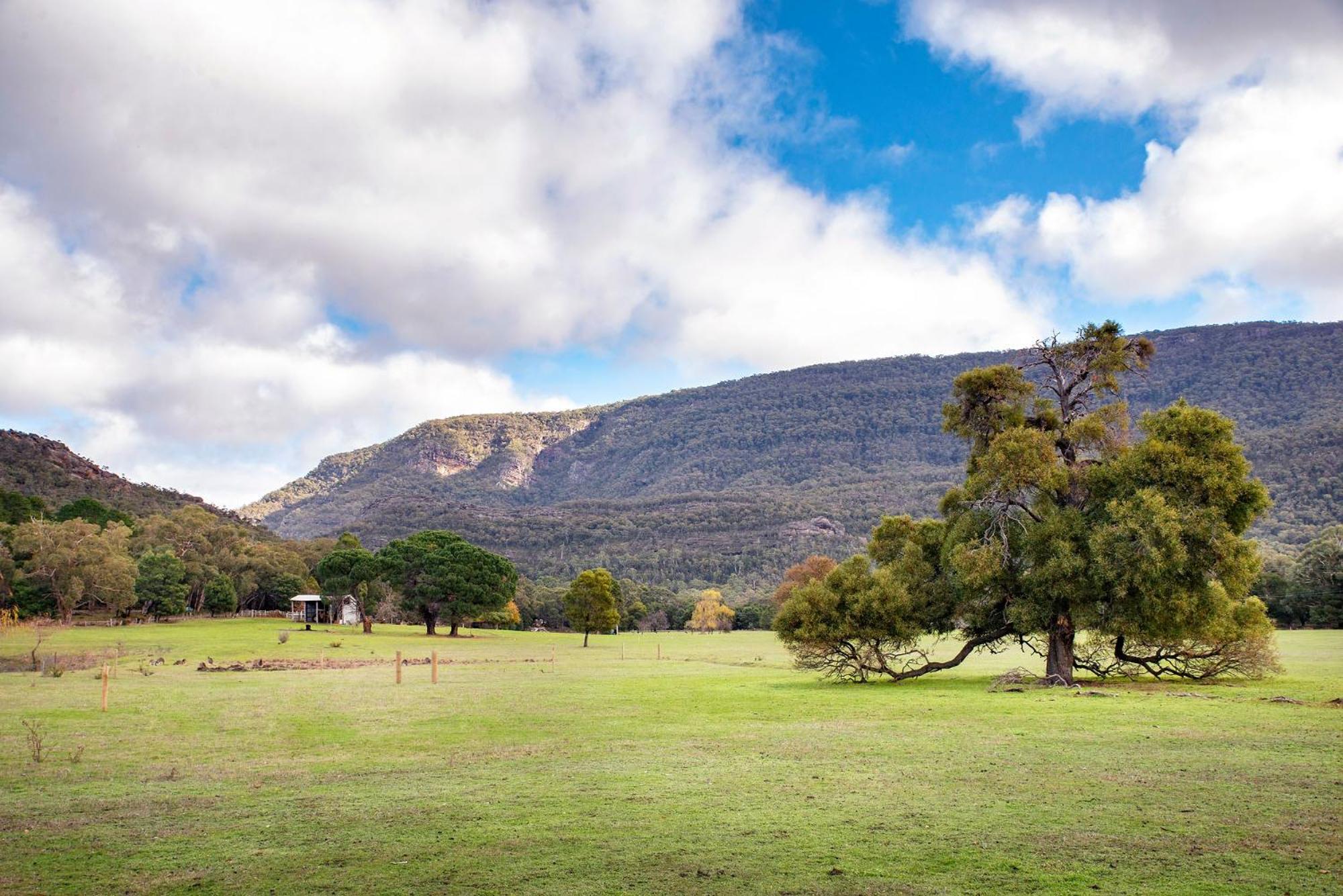 Halls Gap Escape Townhouses view 4