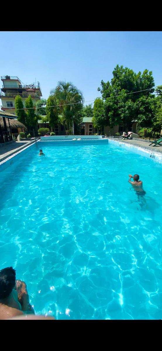 swimming pool