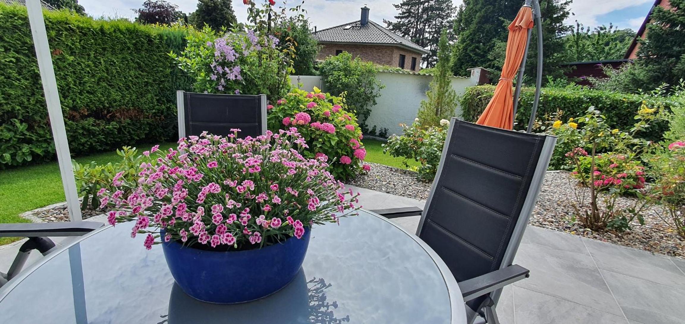 Ferienwohnungen Buchenweg