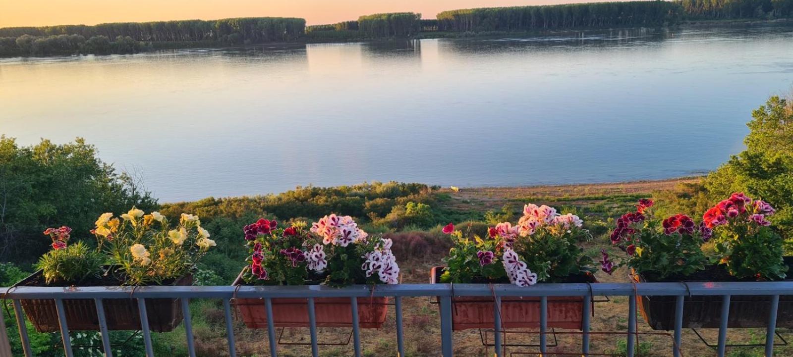 Къща за гости Ненийски