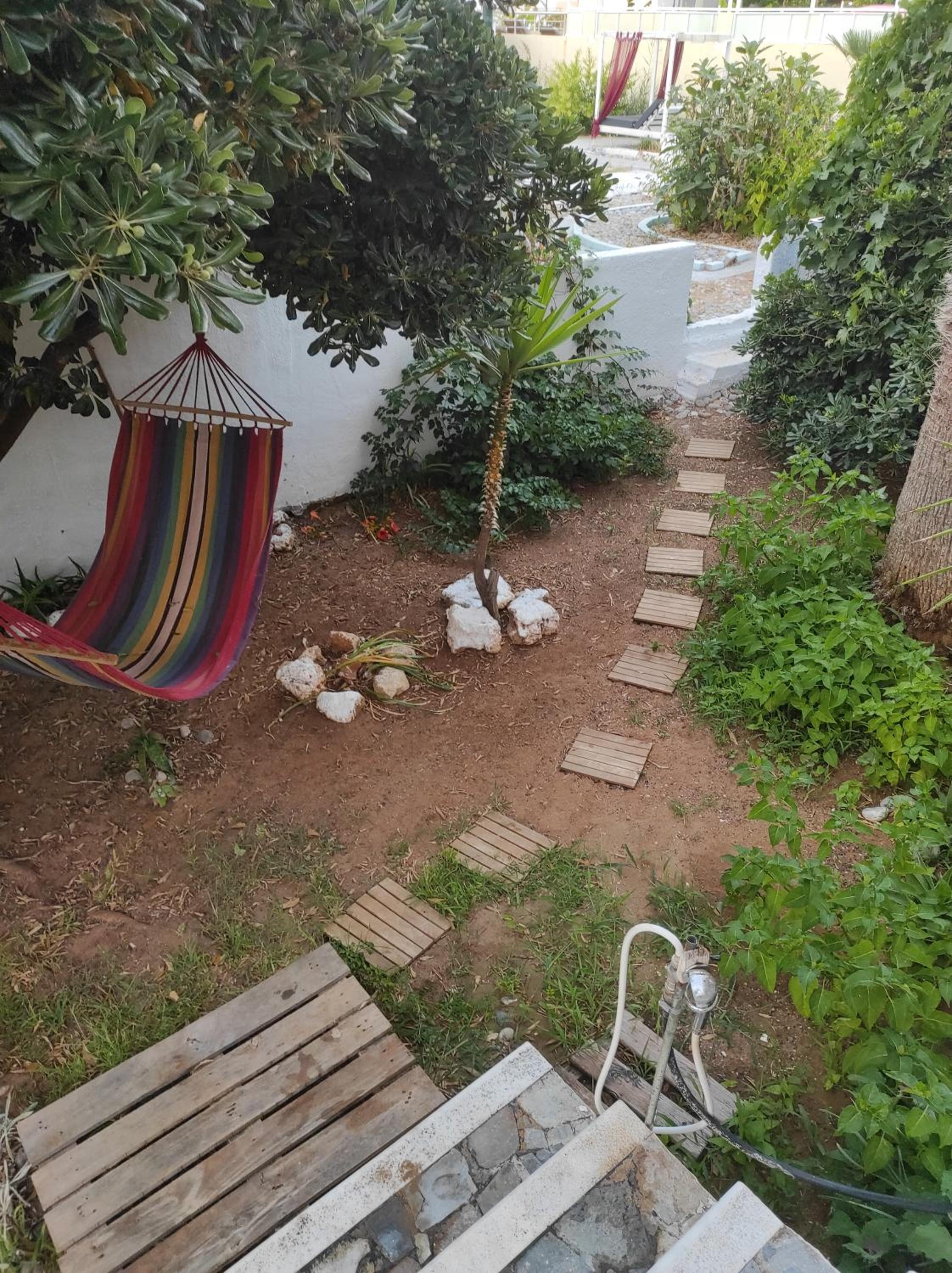 Photo 16