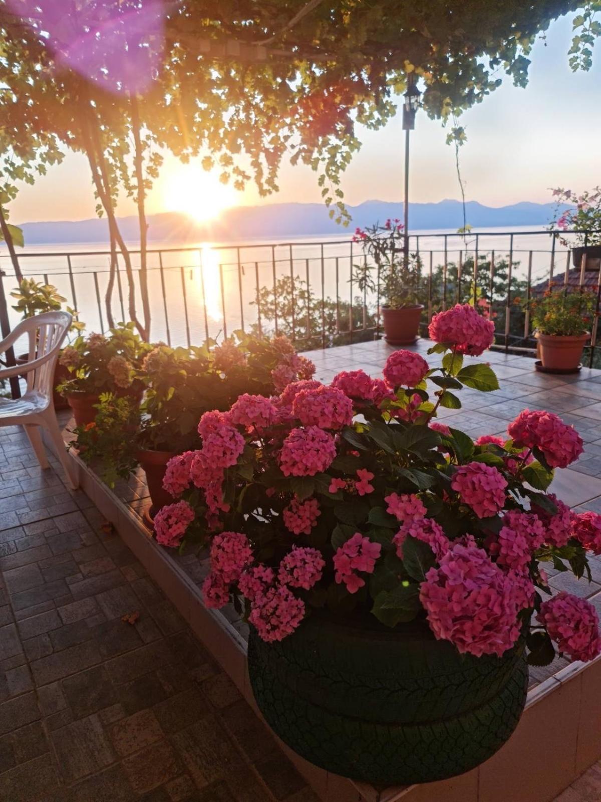 Sonce Guest House view 5