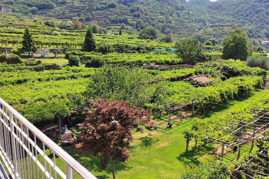 La casa dei nonni 3,0 view 3