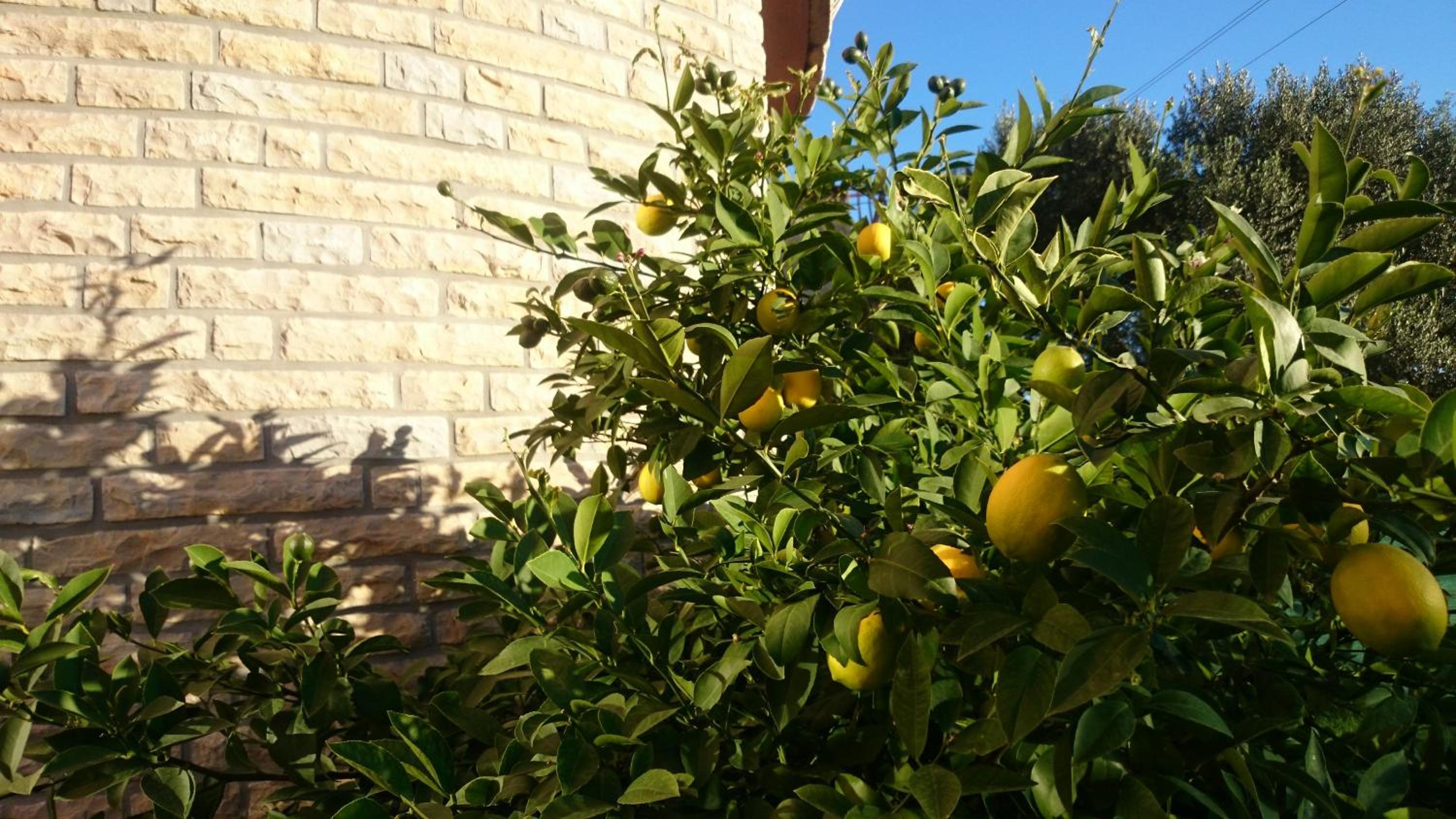 Photo 57