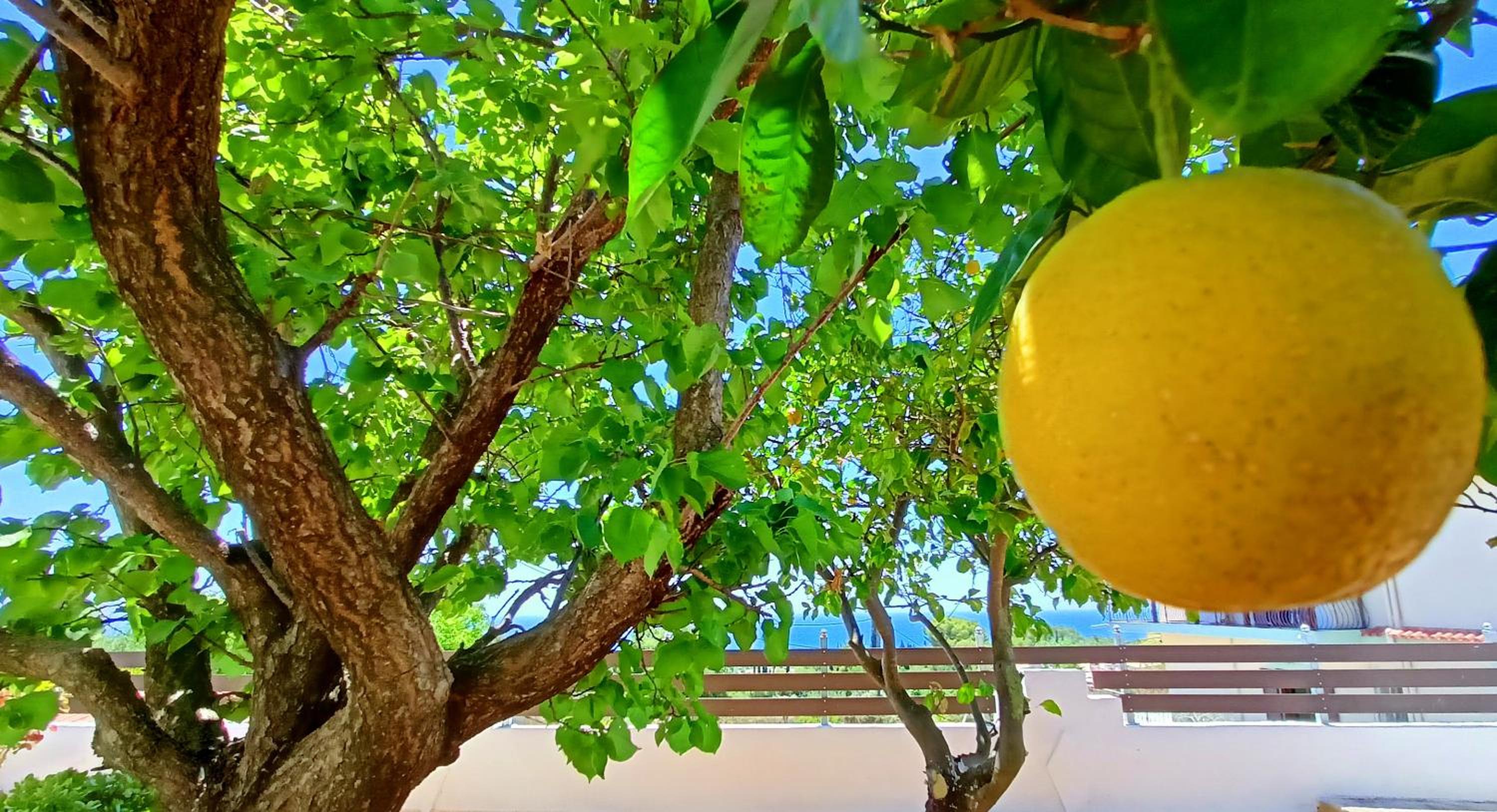 Moriana Stone Villa, panoramic view and garden photo 3