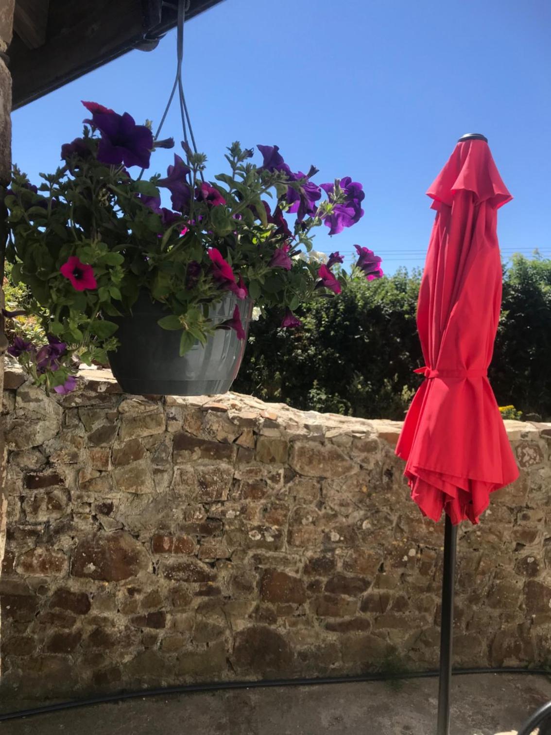 Bude Vacations - Boots Cottage - Property Image 3