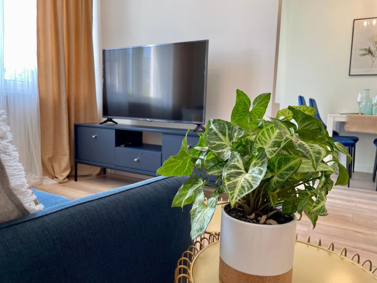 Apartament Rataja50 view 4