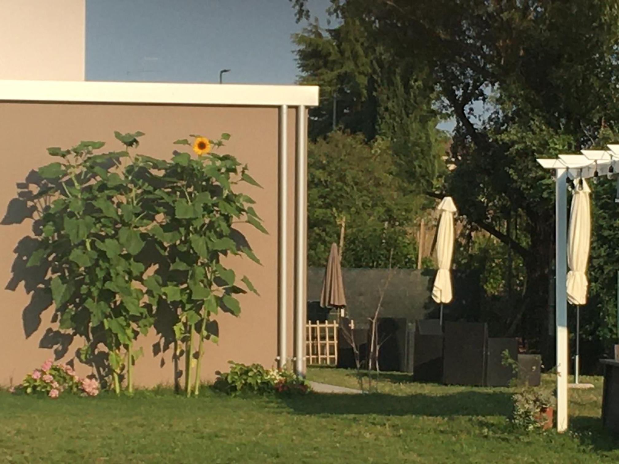 I Broletti del Garda, photo 59