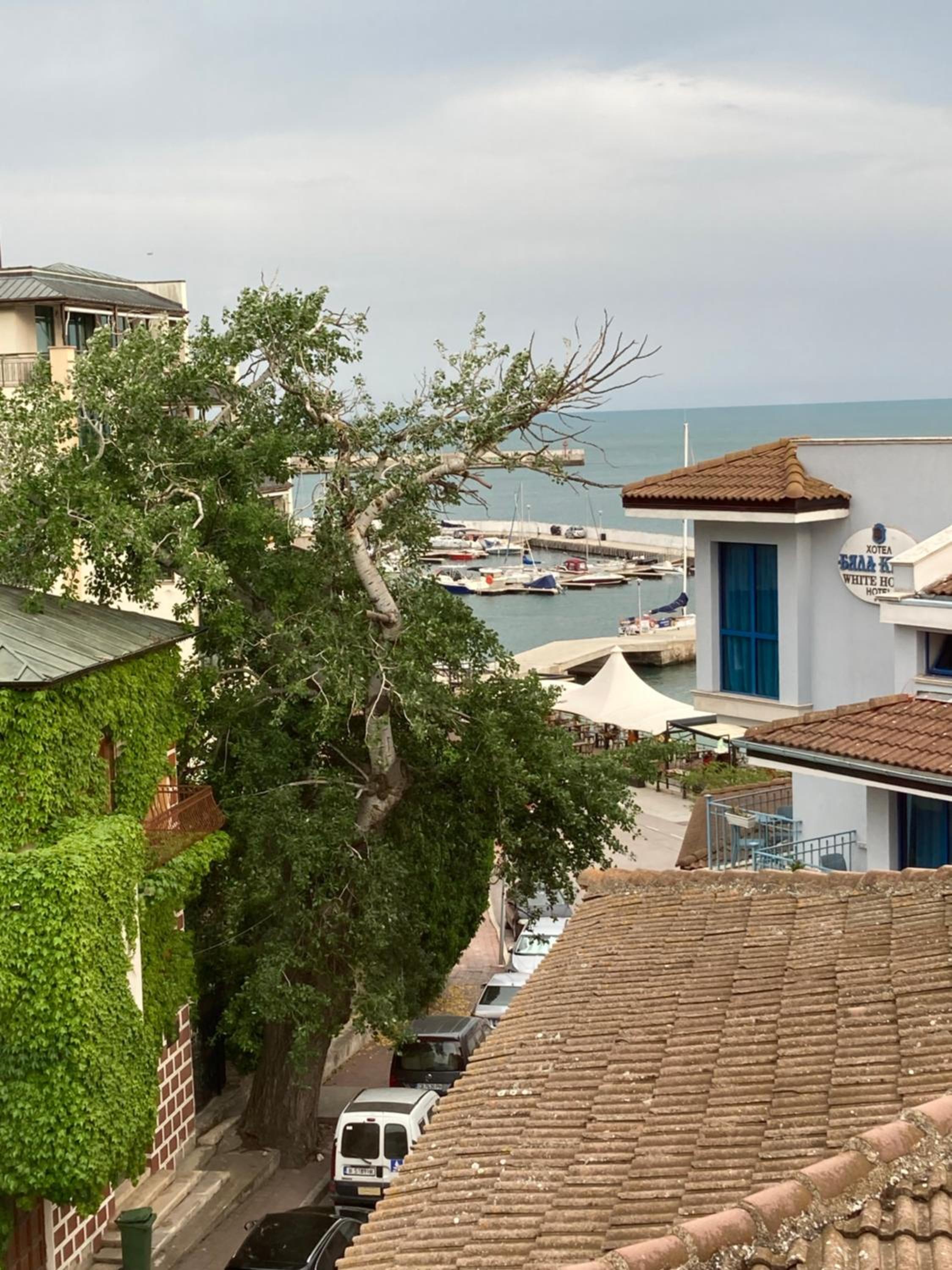 Balchik Vacations -  "" / Central - Property Image 11