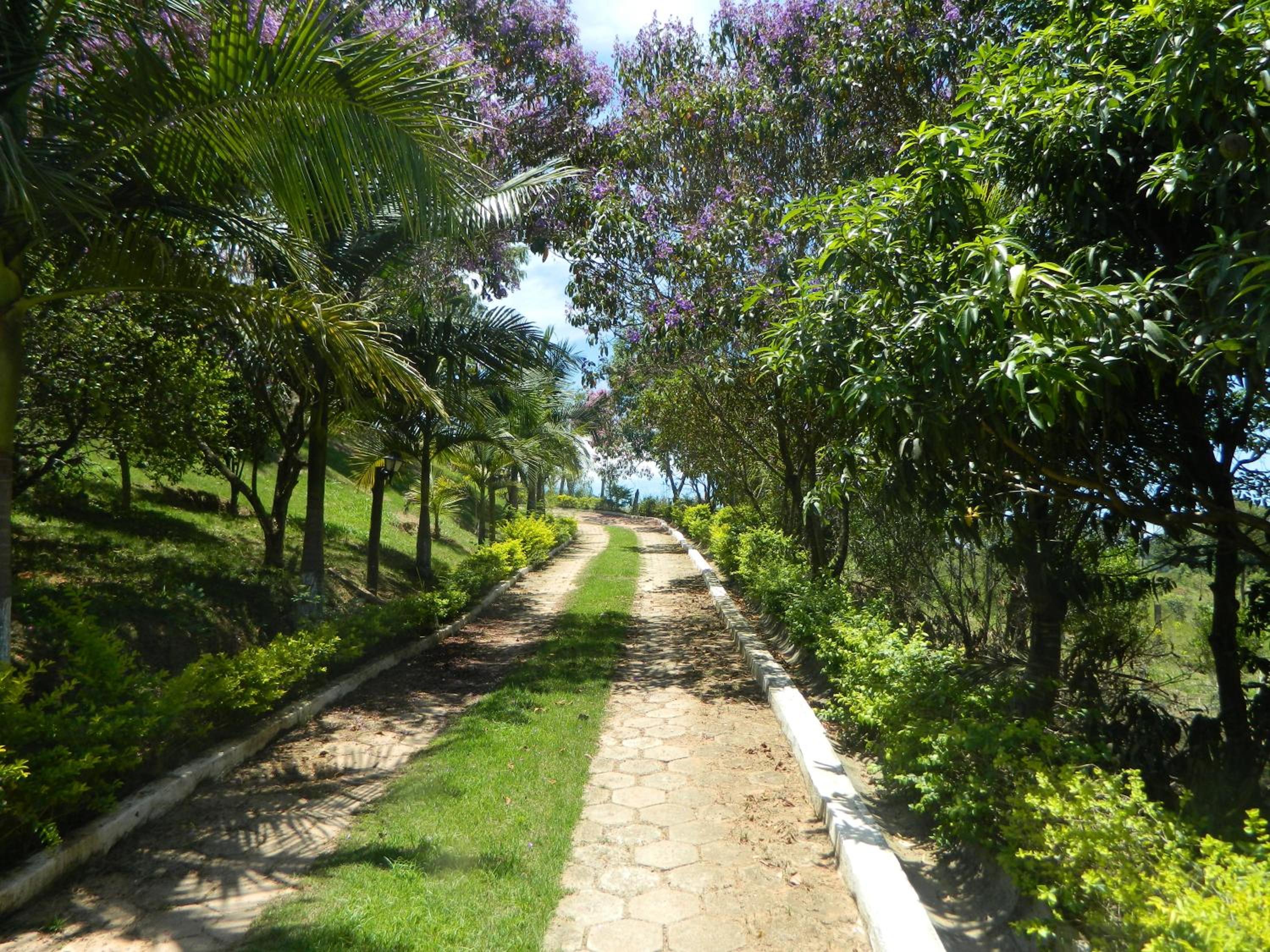 Photo 24