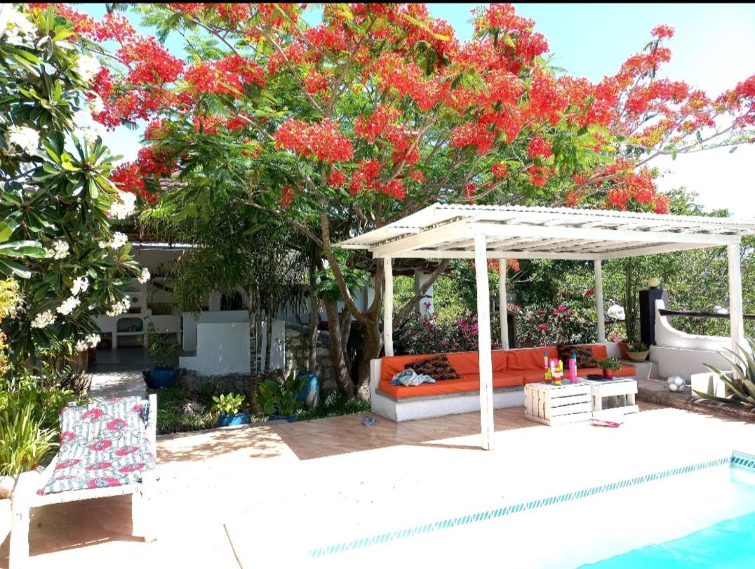 outdoor BBQ area