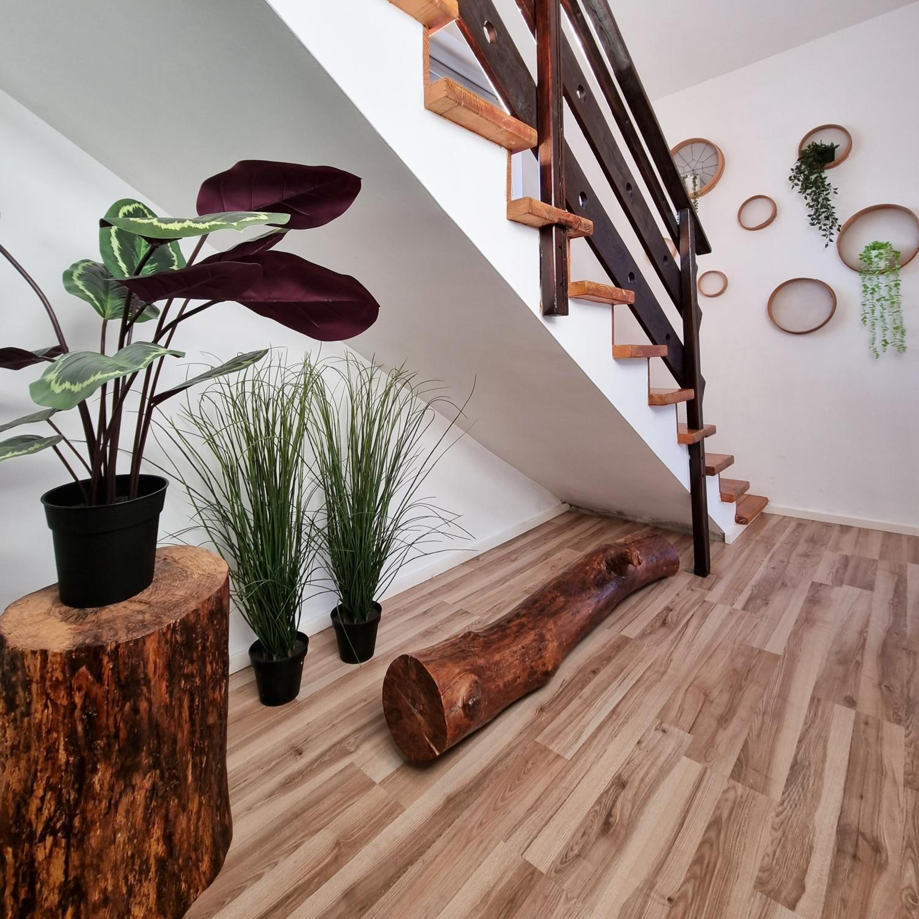Pura - Home in Nature view 4