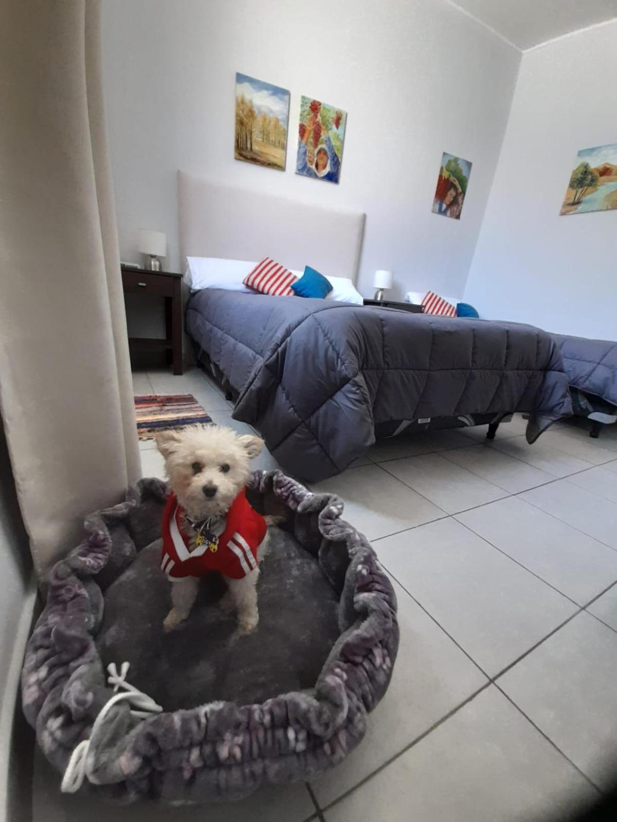 Departamento céntrico para 3 +1