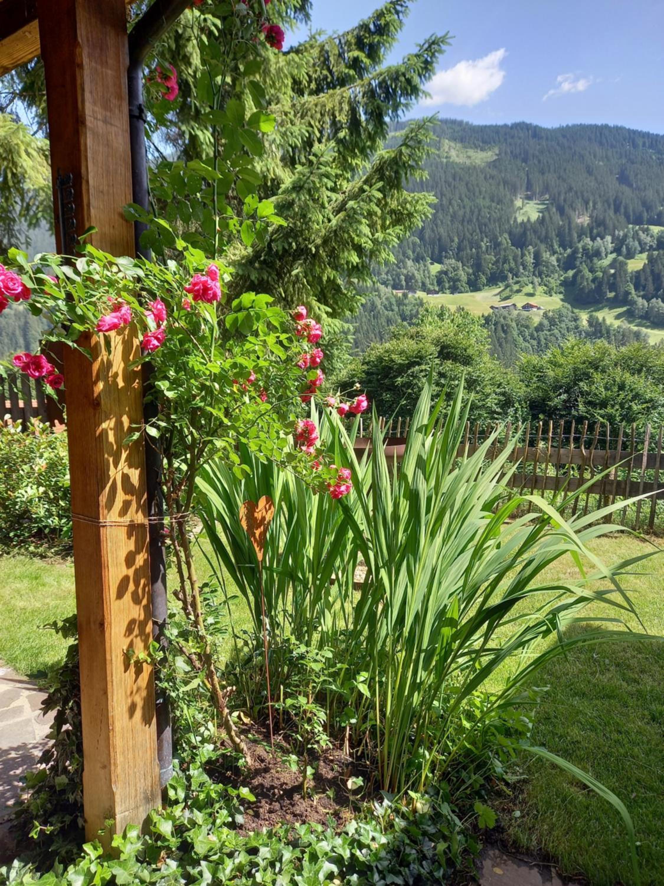 Aparthaus am Walde & Appartement Sonnenseite